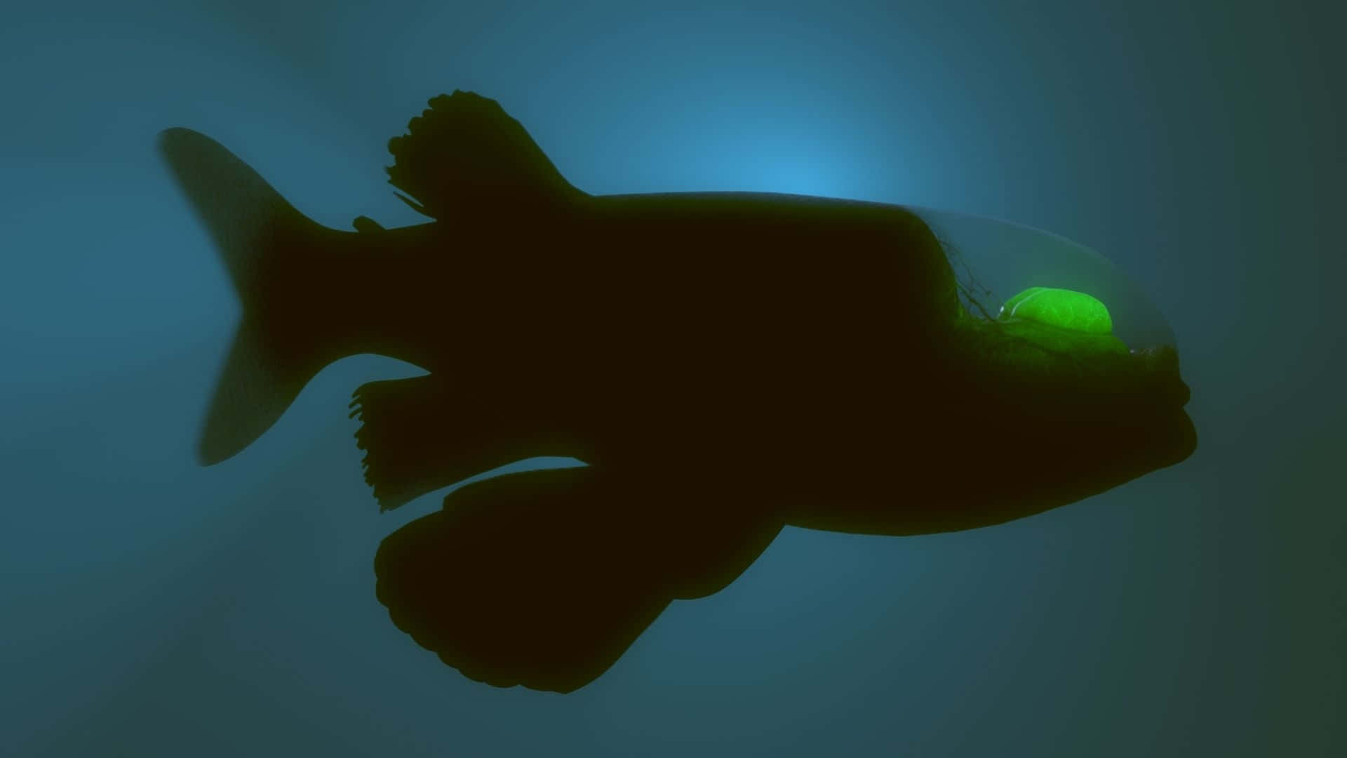 恐懼與好奇並存，海底世界之美無可取代 壁紙 — 深海魚的剪影，擁有發光的綠色眼睛，背景是深藍色的水下環境。