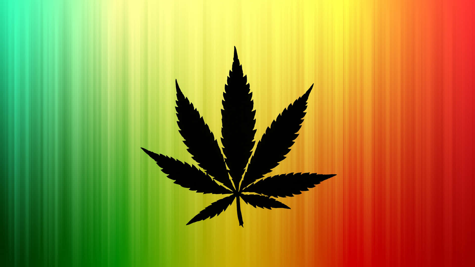 黑色大麻葉在彩虹漸變背景上。