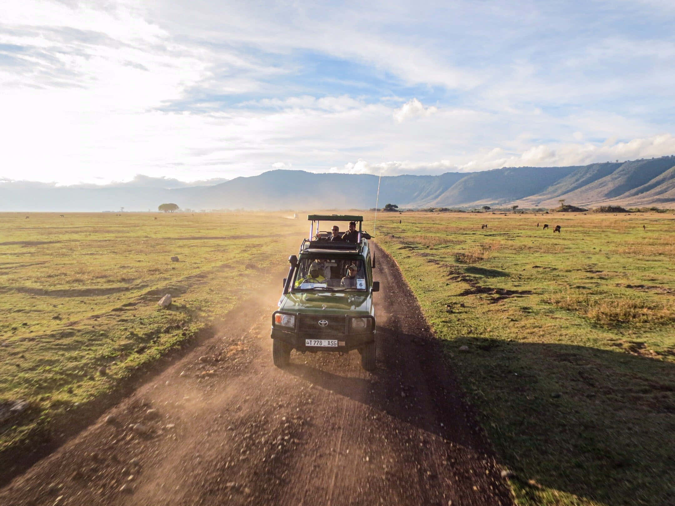恩戈羅恩戈羅火山口的野生動物觀光車 壁紙 — 一輛綠色 safari 吉普車在部分多雲的天空下，穿越廣闊的草原稀樹草原，揚起塵土，遠方有山脈。