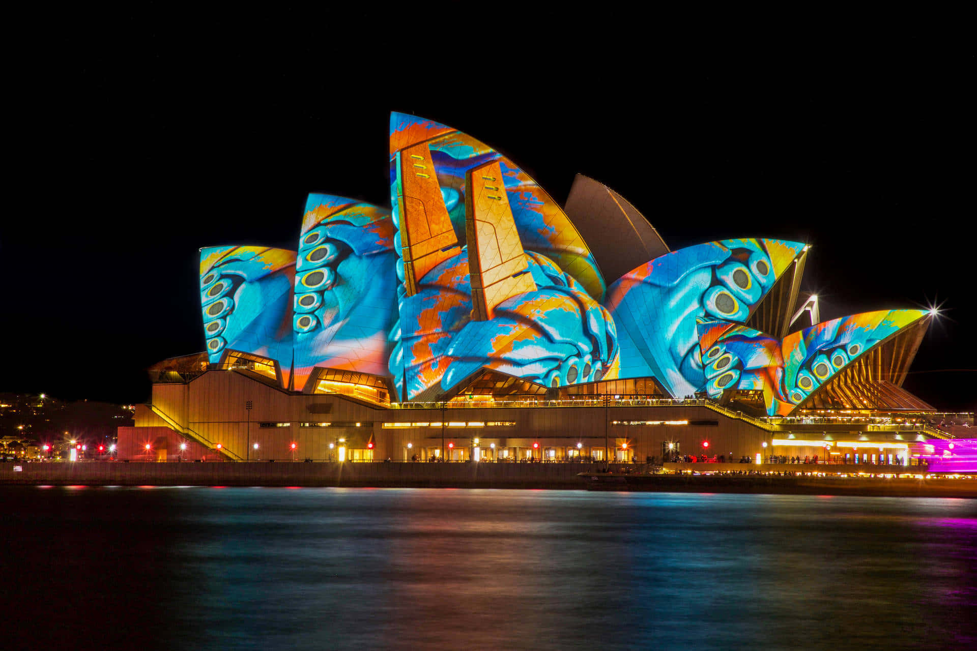 Australia 桌布 壁紙 — 悉尼歌劇院在夜間被照亮，其標誌性帆上投射出充滿活力的藍色和橙色章魚圖案，映照在水面上。