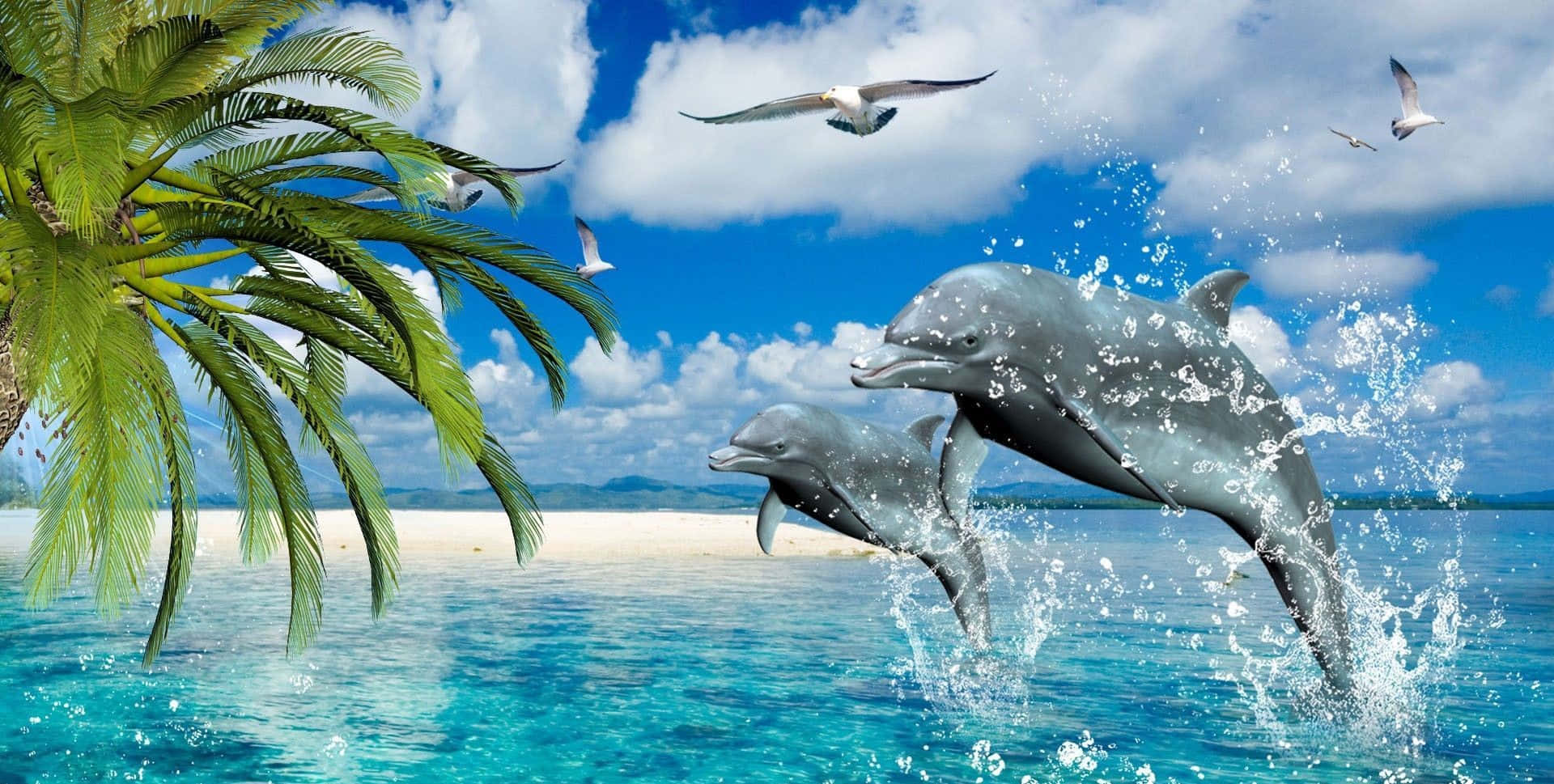 海豚在棕櫚樹附近的海水中躍出，海鷗在上空飛翔。