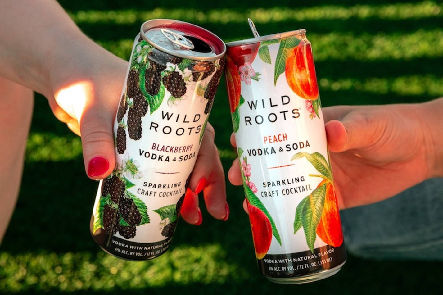 悠閒品嚐 Wild Roots 黑莓水蜜桃伏特加蘇打 壁紙 — 兩隻手在陽光明媚的綠色草坪上碰杯Wild Roots伏特加蘇打水罐。