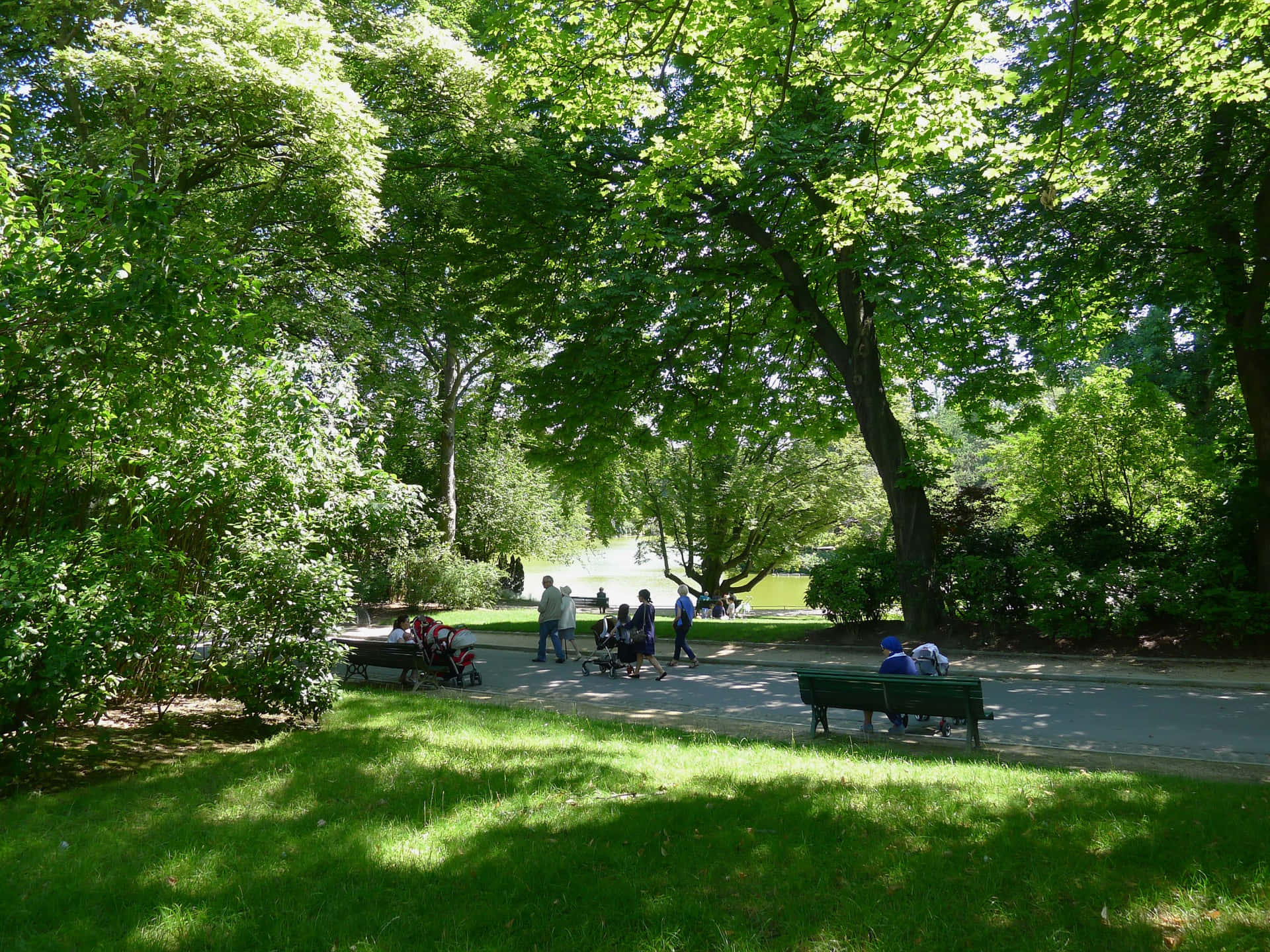 人們在陽光明媚的日子裡，沿著綠樹成蔭的公園小徑行走，並在長椅上休息。