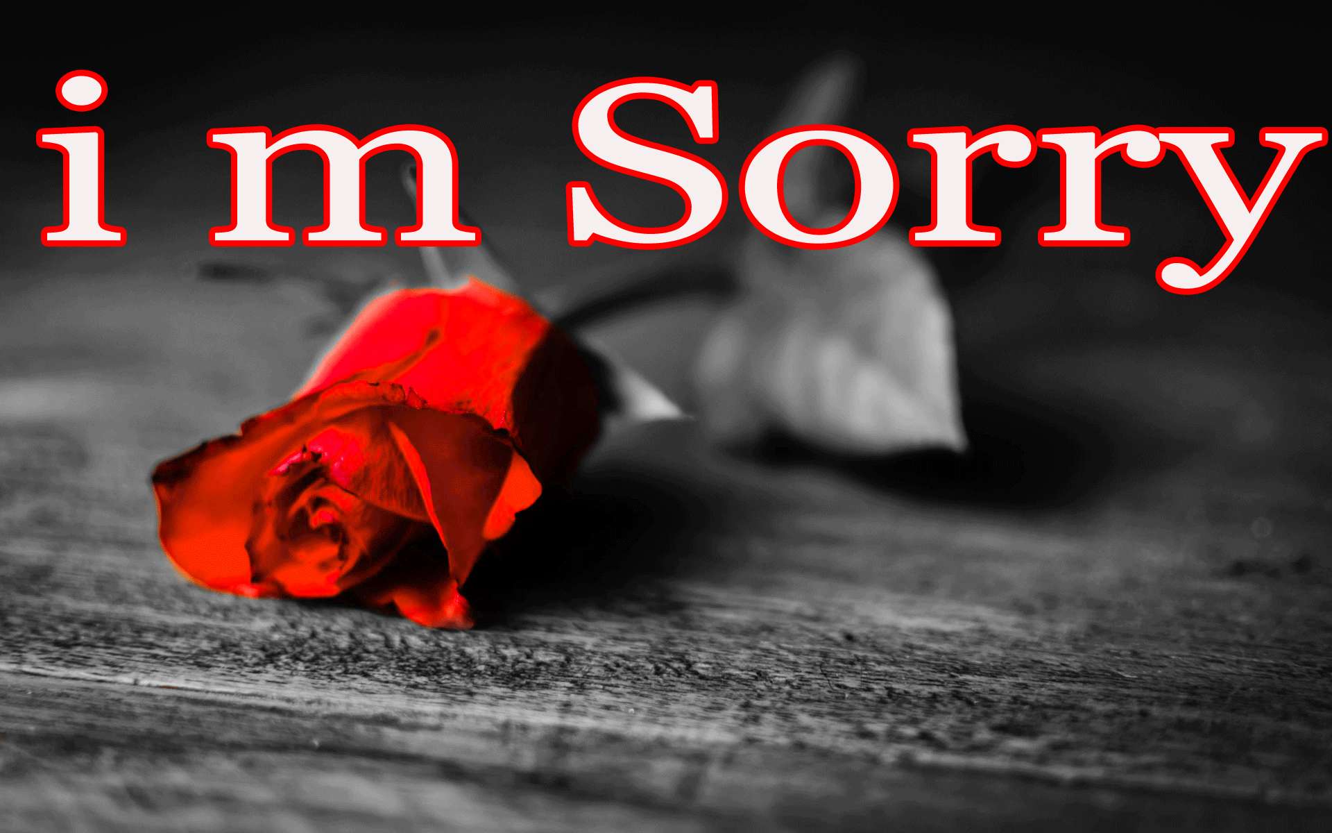 木頭上的紅玫瑰，紅色文字寫著 'i m Sorry'。