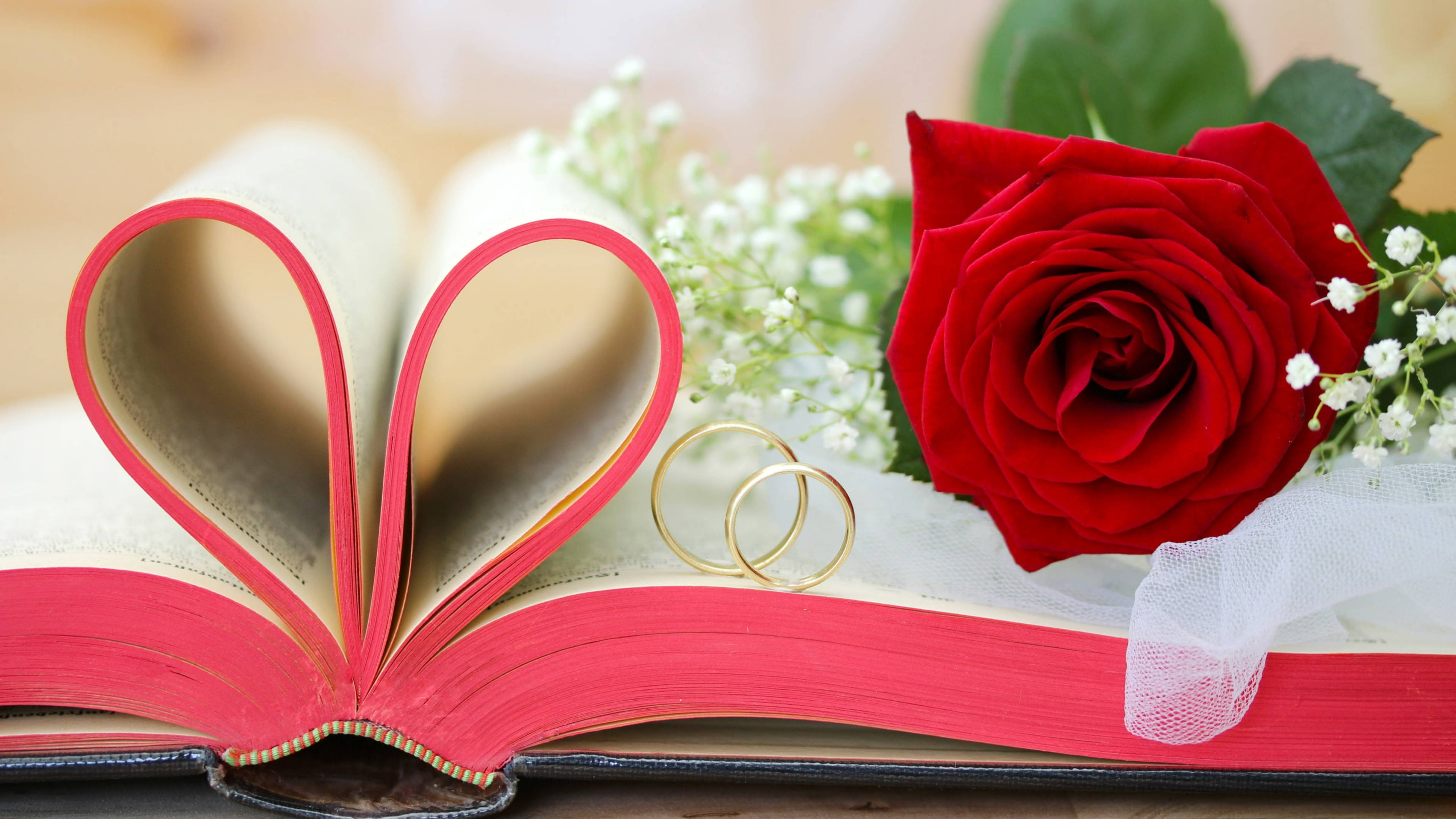 情人節婚戒聖經 壁紙 — 一朵紅玫瑰和金色結婚戒指放在一本心形打開的書旁邊，配有白色滿天星。