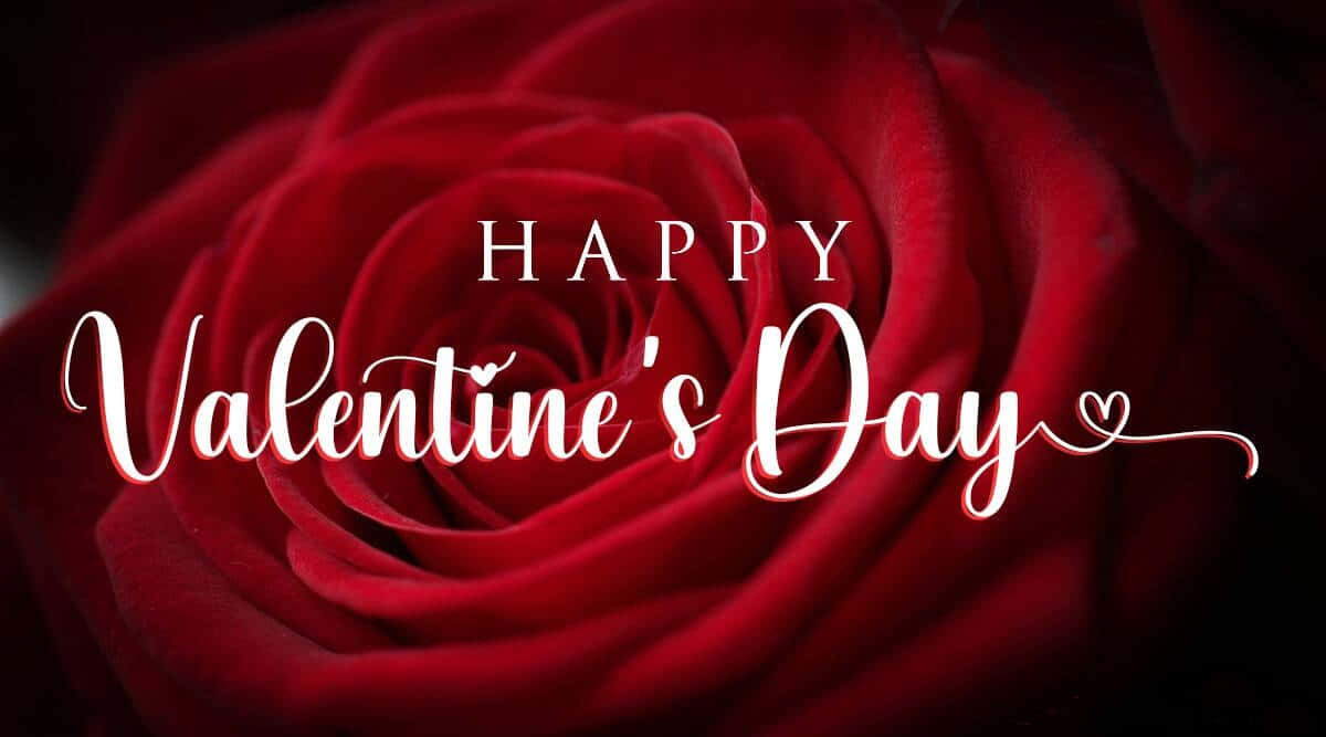 一朵帶有「Happy Valentine's Day」文字的紅玫瑰，適合浪漫場合。