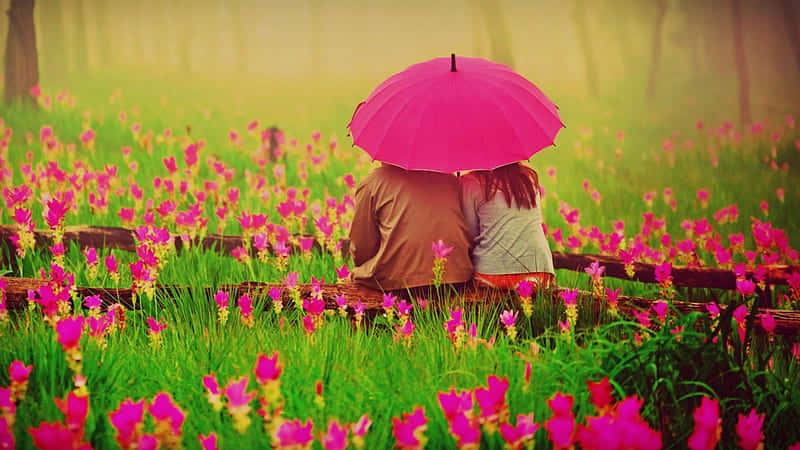 兩個人在粉紅花田裡一起坐在粉紅色的雨傘下。
