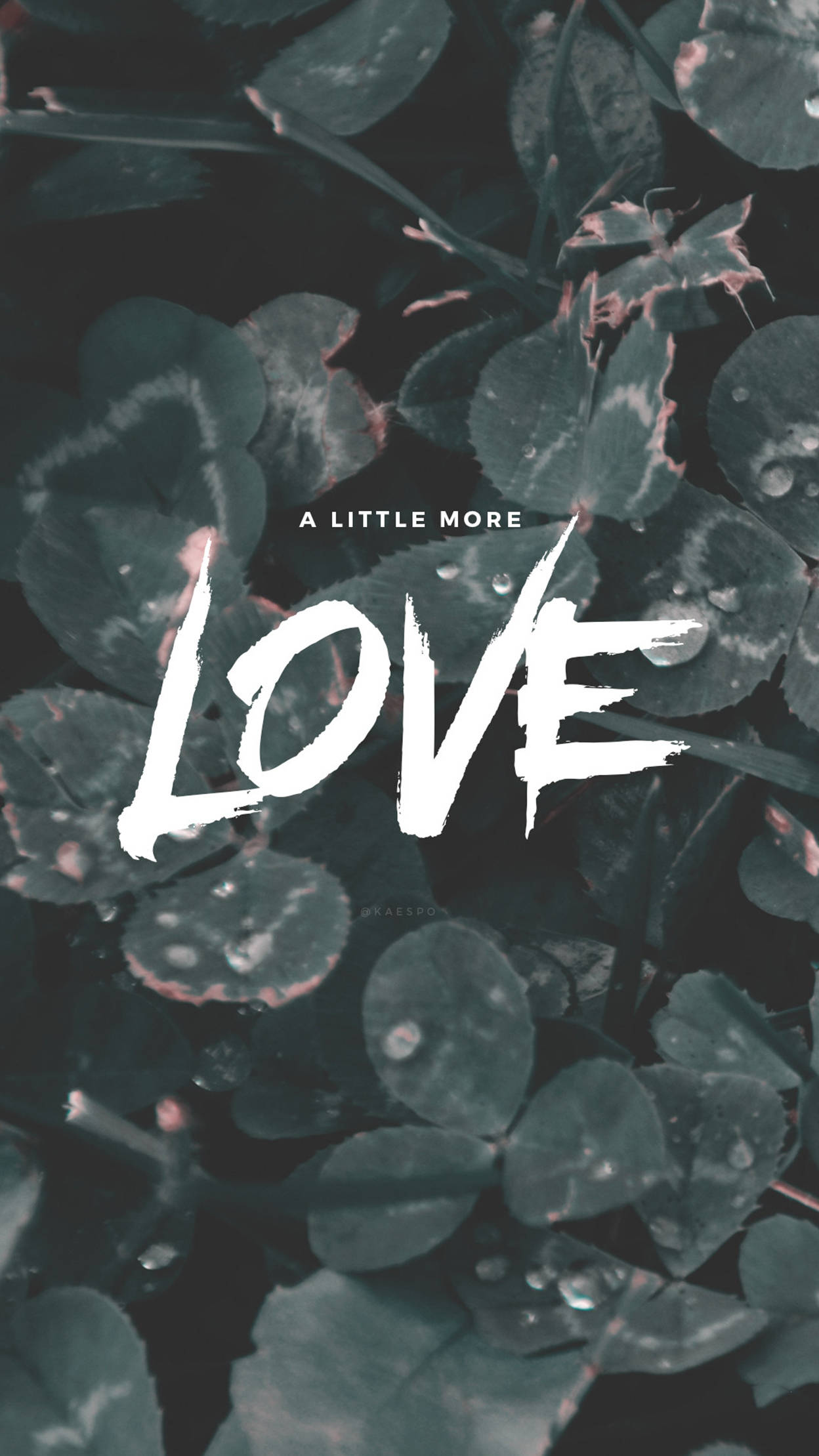 愛之語句時尚 iPhone 壁紙 — 大膽的白色筆觸文字，寫著「LOVE」和「A LITTLE MORE」，覆蓋在帶有露水的深綠色三葉草葉片上。