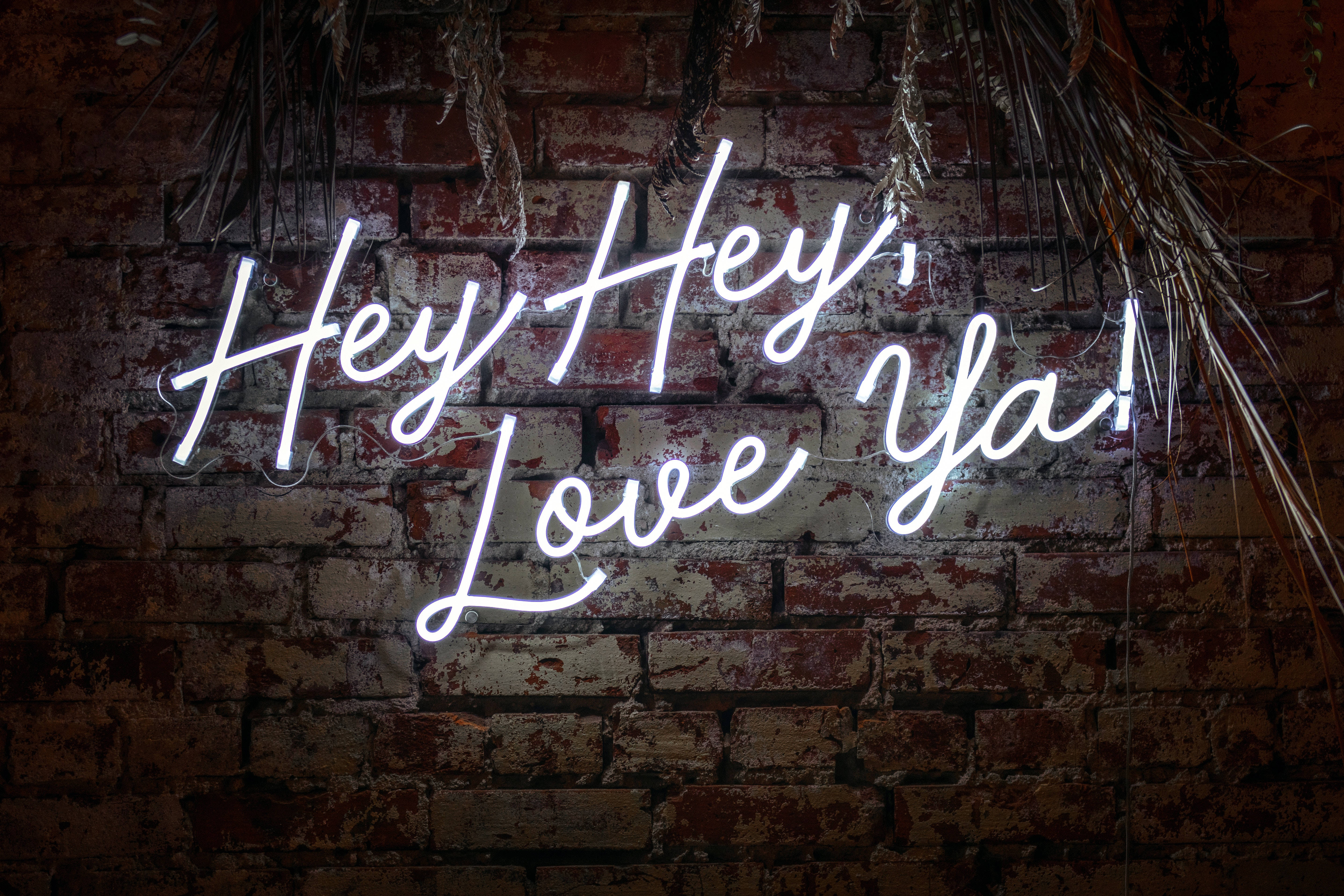 愛你白霓虹美學 壁紙 — 一個發光的白色霓虹燈牌，上面寫著「Hey Hey Love Ya!」，照亮了一面裝飾著乾燥棕櫚葉的風化磚牆。