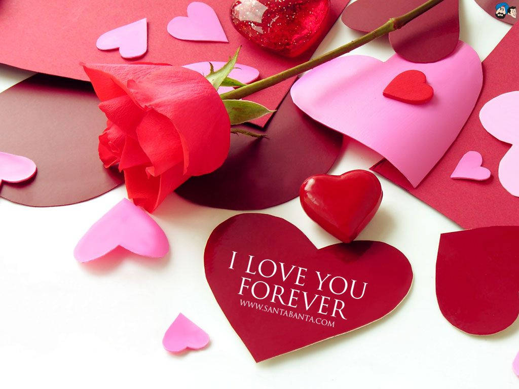 紅玫瑰和紙心心，帶有「I LOVE YOU FOREVER」訊息。