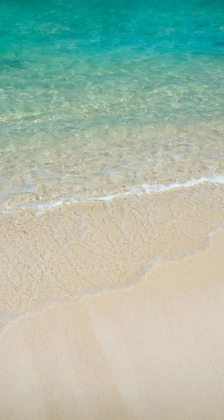 碧綠色的海浪沖刷著熱帶海灘上的金色沙灘。