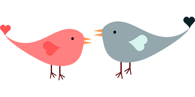 愛情鳥卡通插圖 壁紙