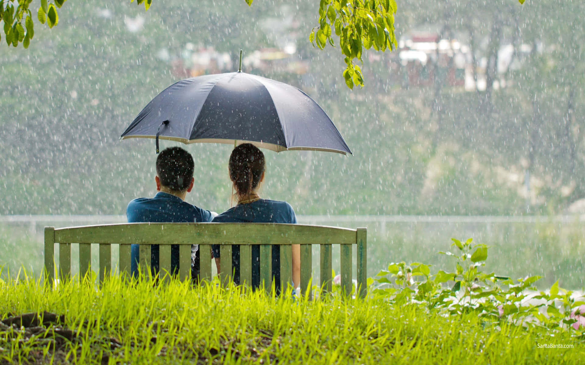 愛無界限，雨亦難阻 壁紙 — 一對情侶在草地公園的木長椅上共享一把黑色雨傘，在溫和的暴風雨中。