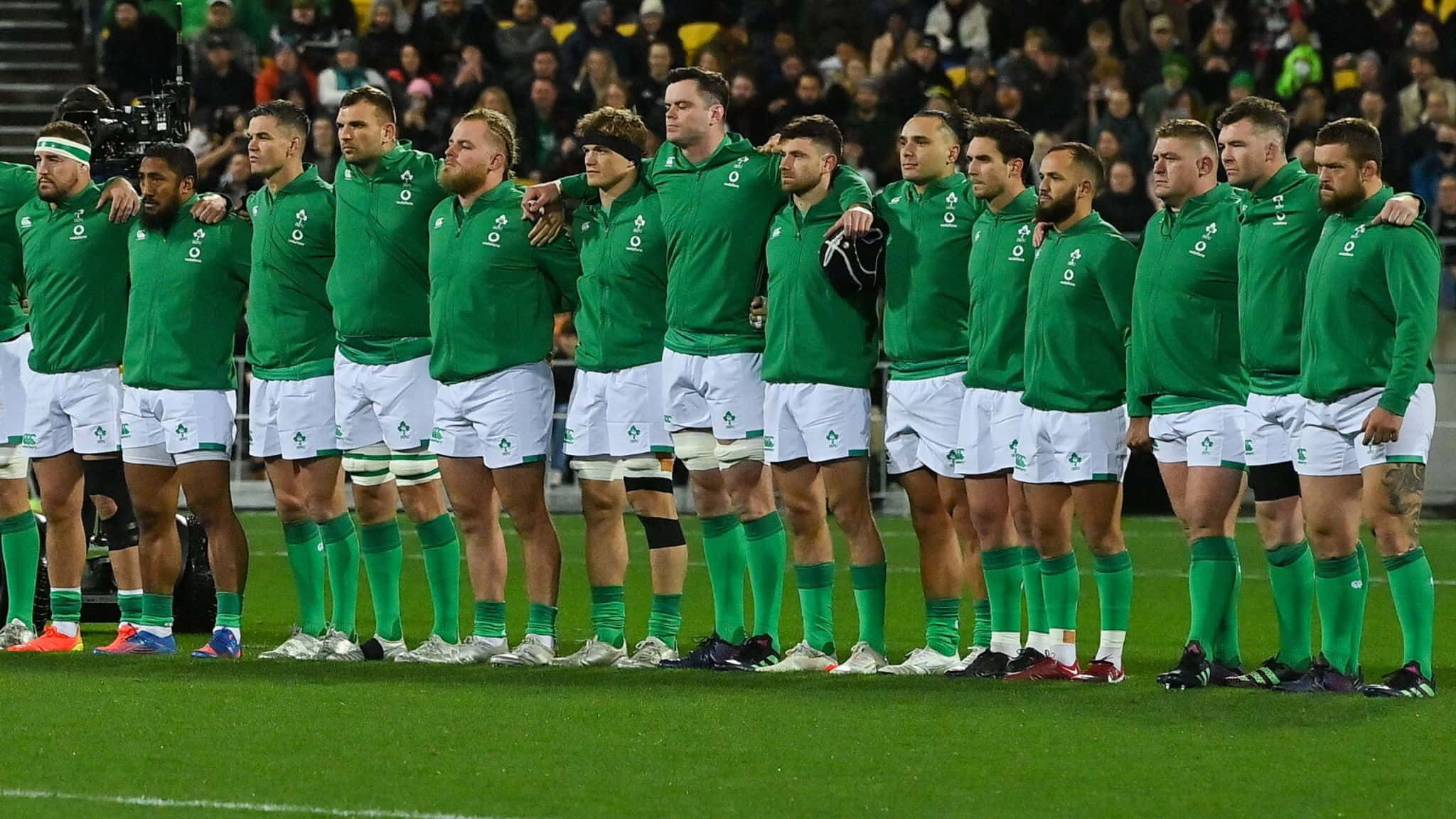 Ireland Rugby 桌布 壁紙 — 愛爾蘭欖球隊身穿綠色球衣，在球場燈光下肩並肩站在草地上。