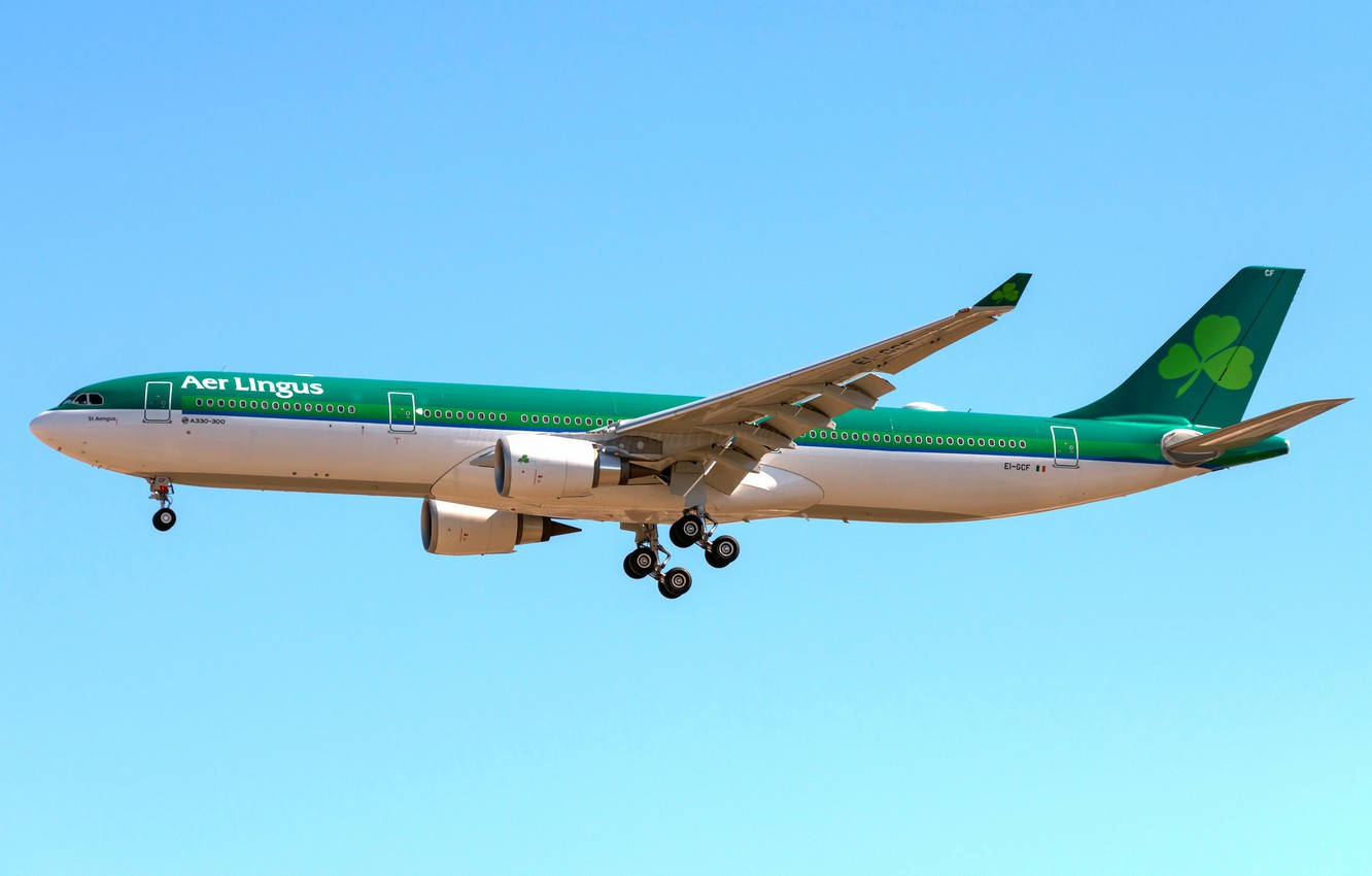 愛爾蘭航空飛機在藍天下以綠色三葉草尾翼降落