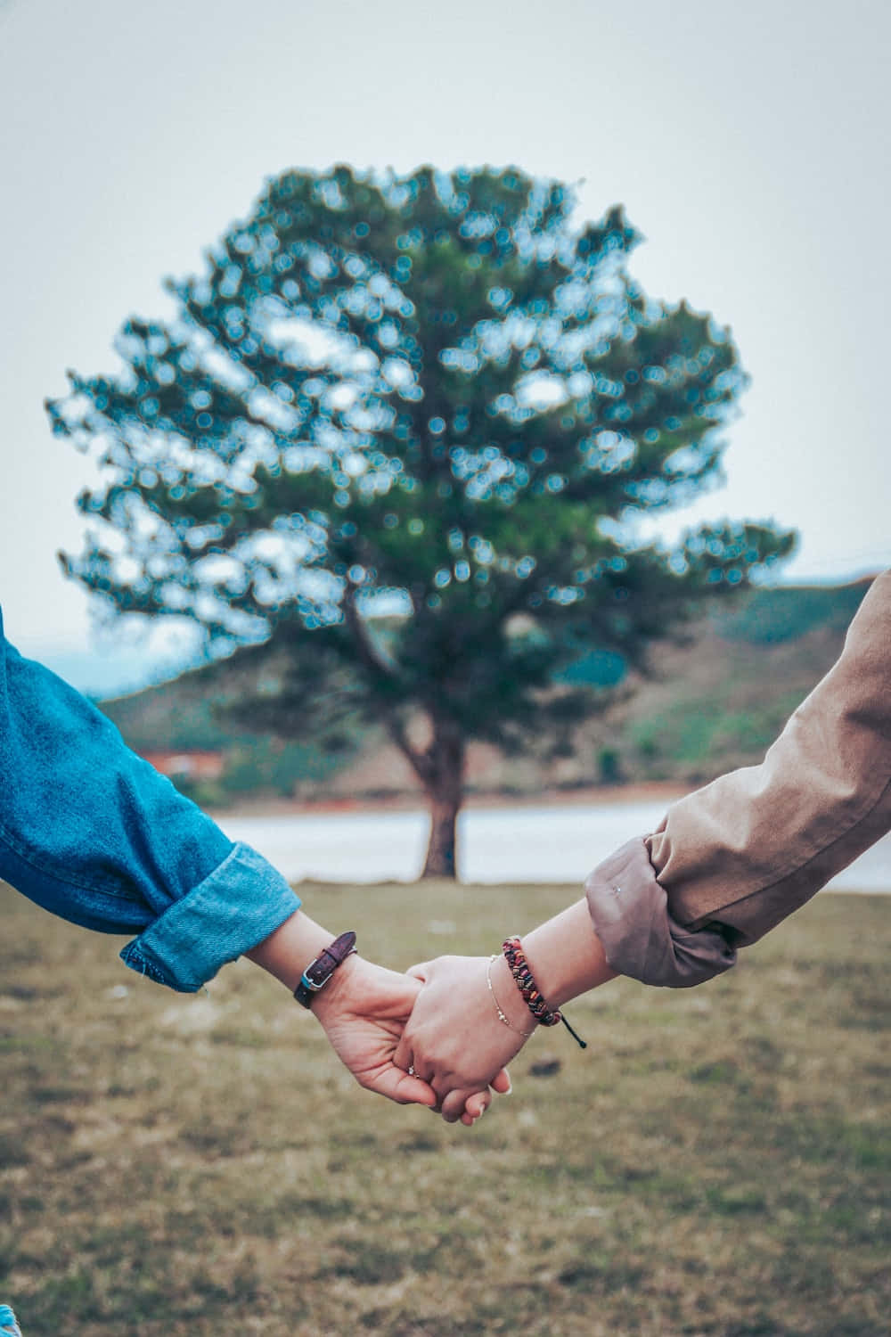 愛的連結：一對情侶牽手 壁紙 — 兩個人在一片草地上牽手，草地上有一棵大樹和遠處的山丘，天空多雲。