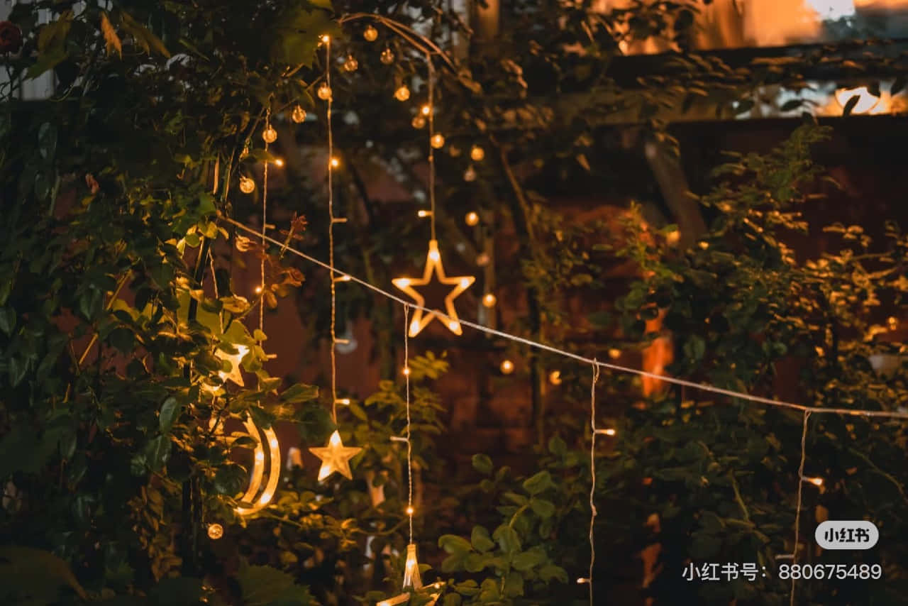 星星形狀的燈串在夜間在綠色樹葉中溫暖地發光。