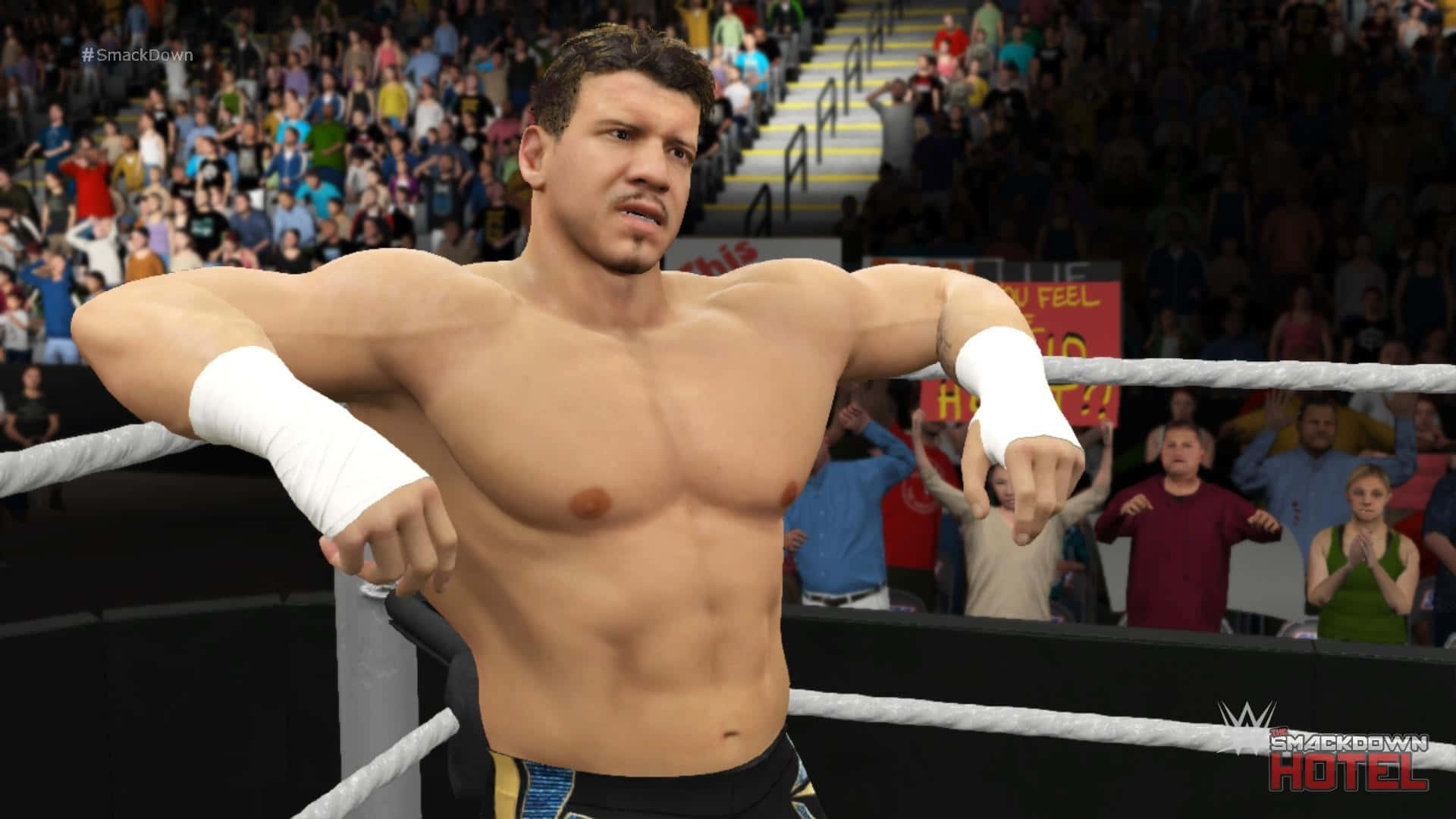 摔角手在擂台上，身後有觀眾在WWE SmackDown活動中歡呼。
