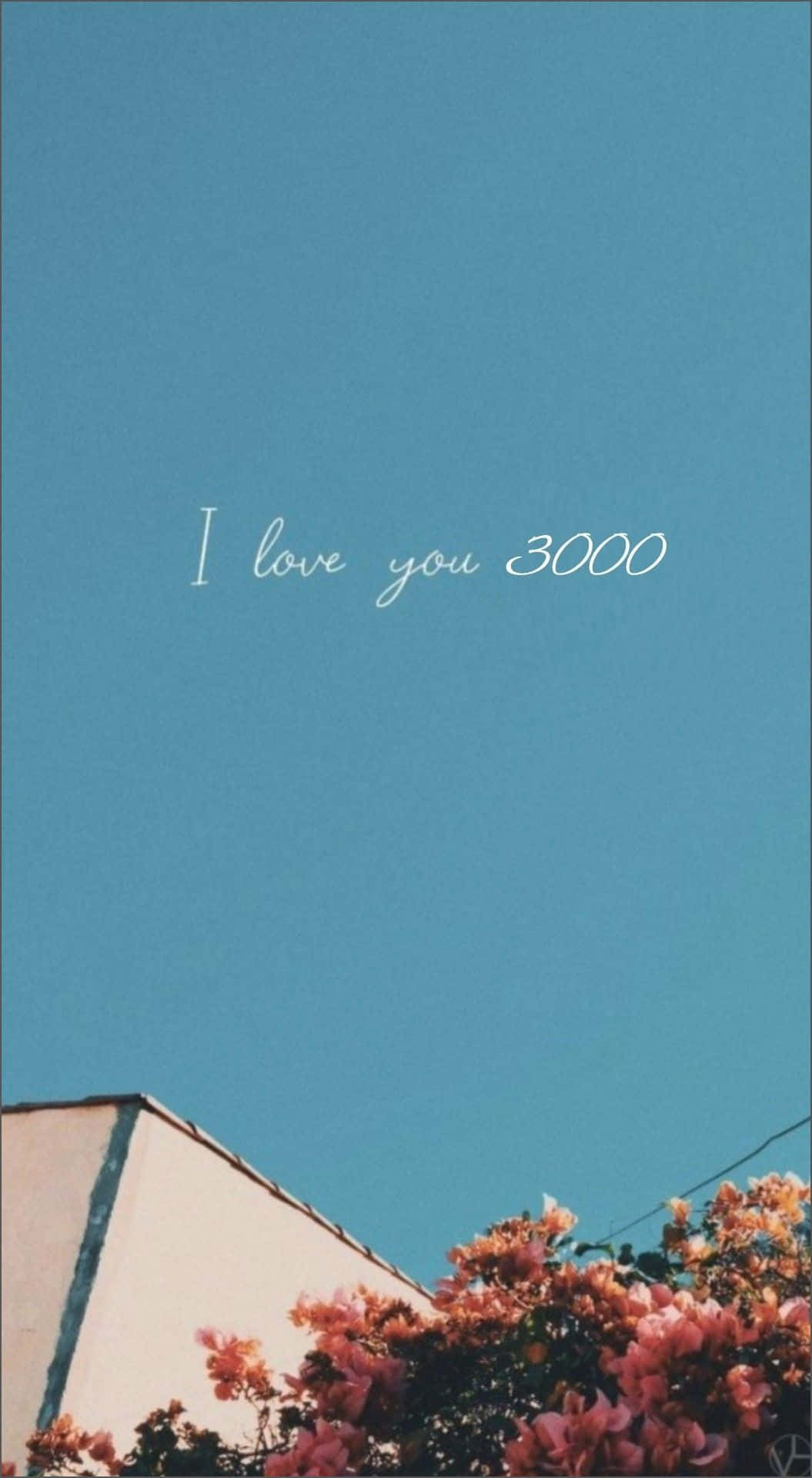 藍天配粉紅色花同手寫文字 I love you 3000。