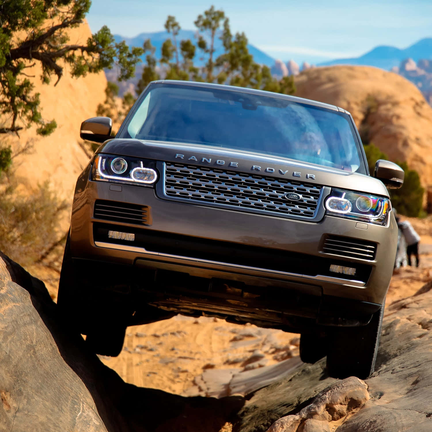 感受 Range Rover 的澎湃動力 壁紙 — 一輛時尚的銀色Range Rover在明亮的日光下征服崎嶇的沙漠岩石，遠山和稀疏樹木為背景。