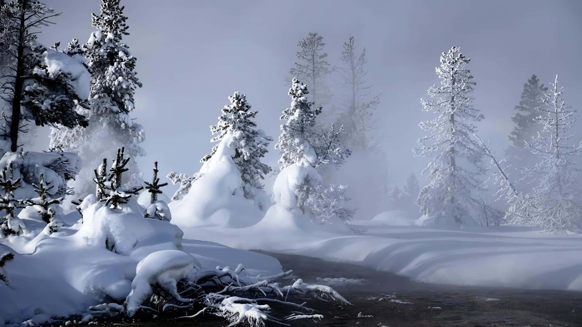 感受冬季的喜悅 壁紙 — 白雪覆蓋著常綠樹和蜿蜒的河流，在灰色天空下的迷霧冬季森林中。