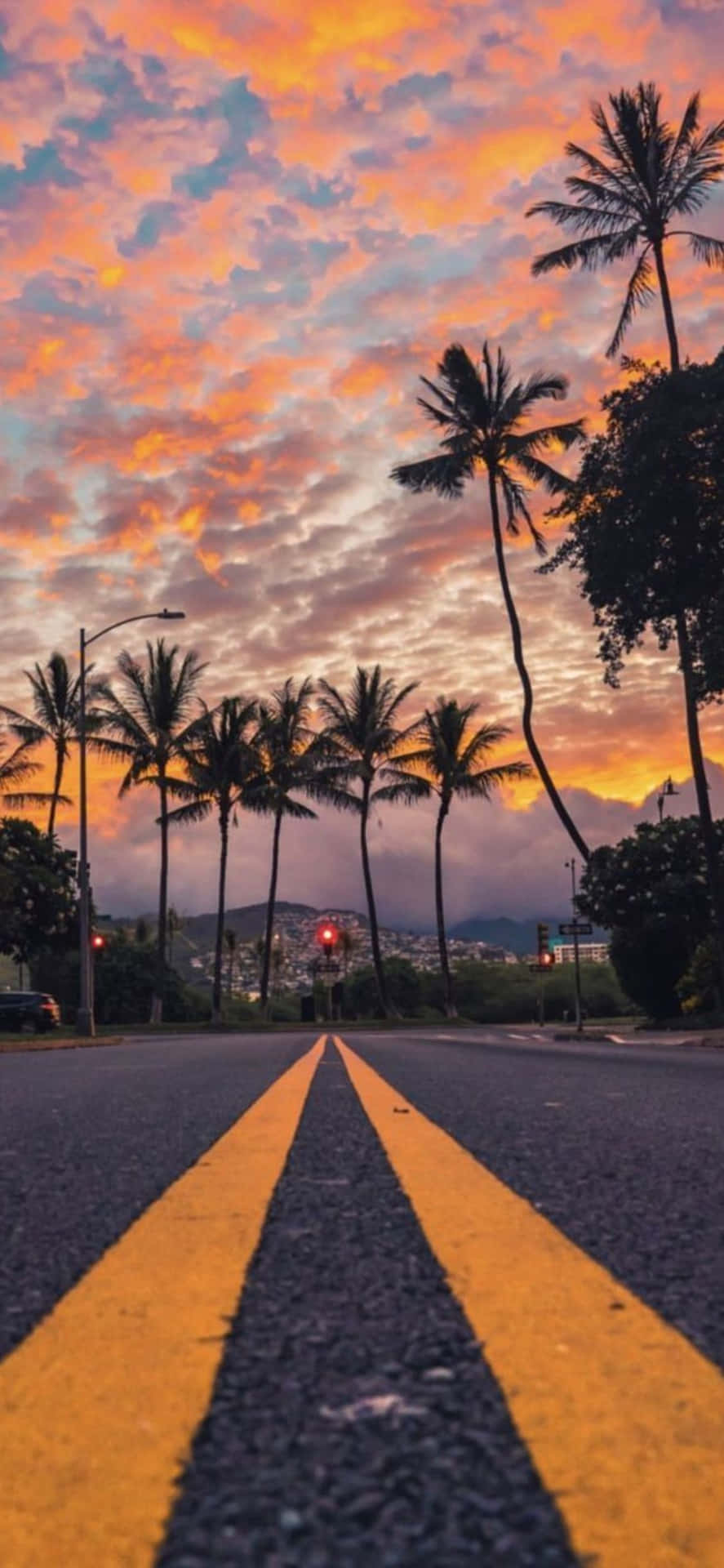 棕櫚樹排列在道路兩旁，下方是火紅的日落天空。