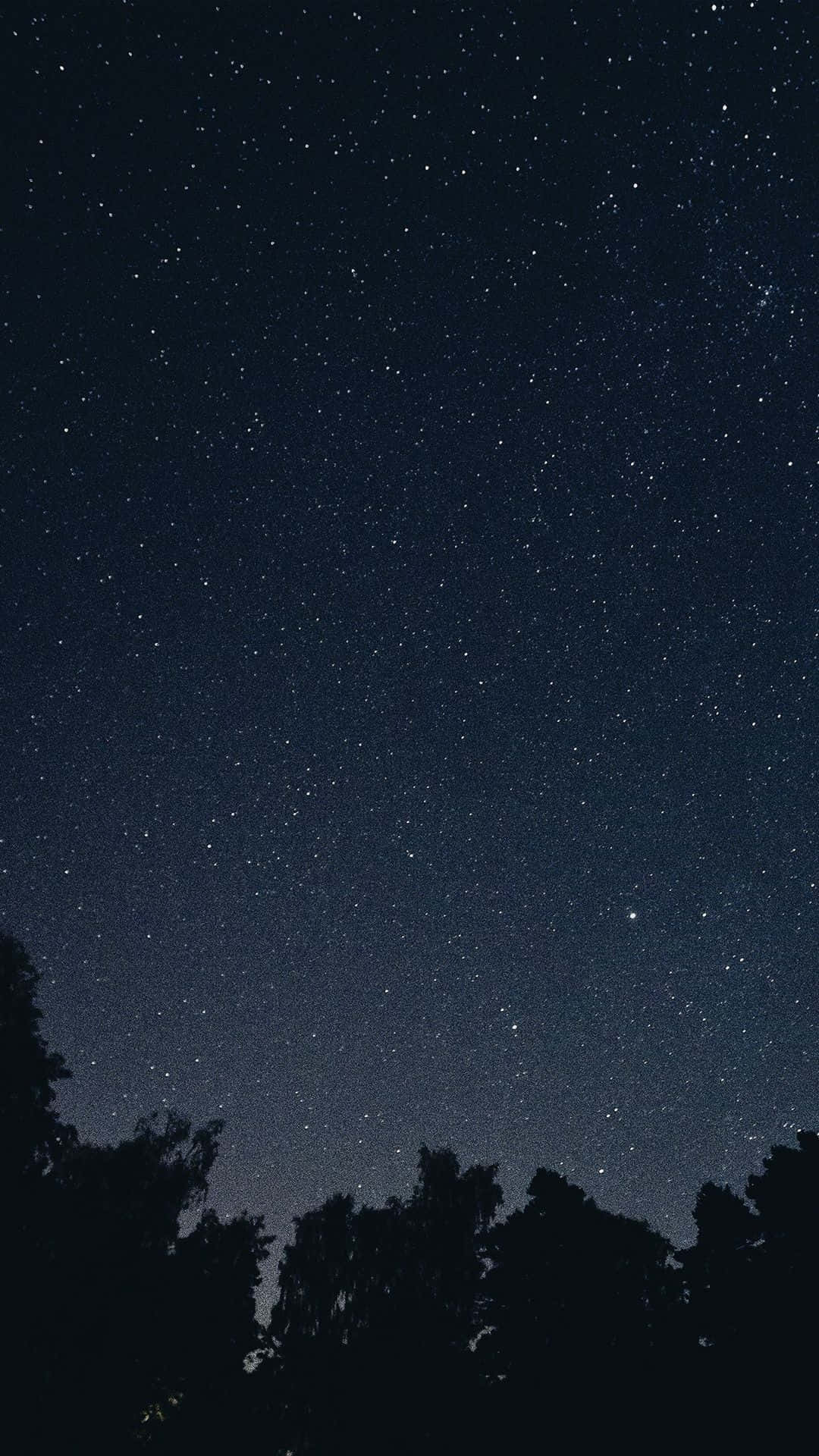 底部有樹木剪影的星空夜景。