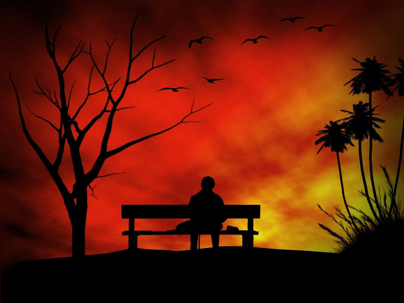 夕陽下，一個人坐在長椅上，鳥兒飛翔，棕櫚樹的剪影映襯著火紅的天空。