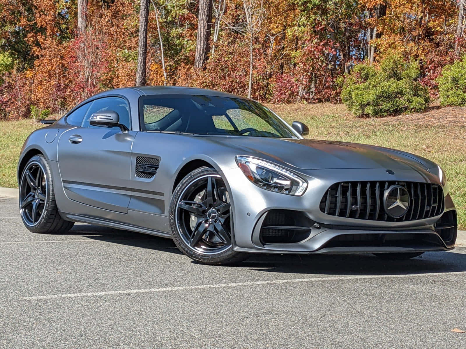 銀色 Mercedes-AMG GT 跑車停在被秋樹環繞的道路上。