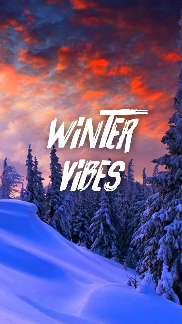 感受氛圍！ 壁紙 — 積雪的松樹矗立在火紅和橙色的日落天空下，粗體白色文字寫著 winter vibes。