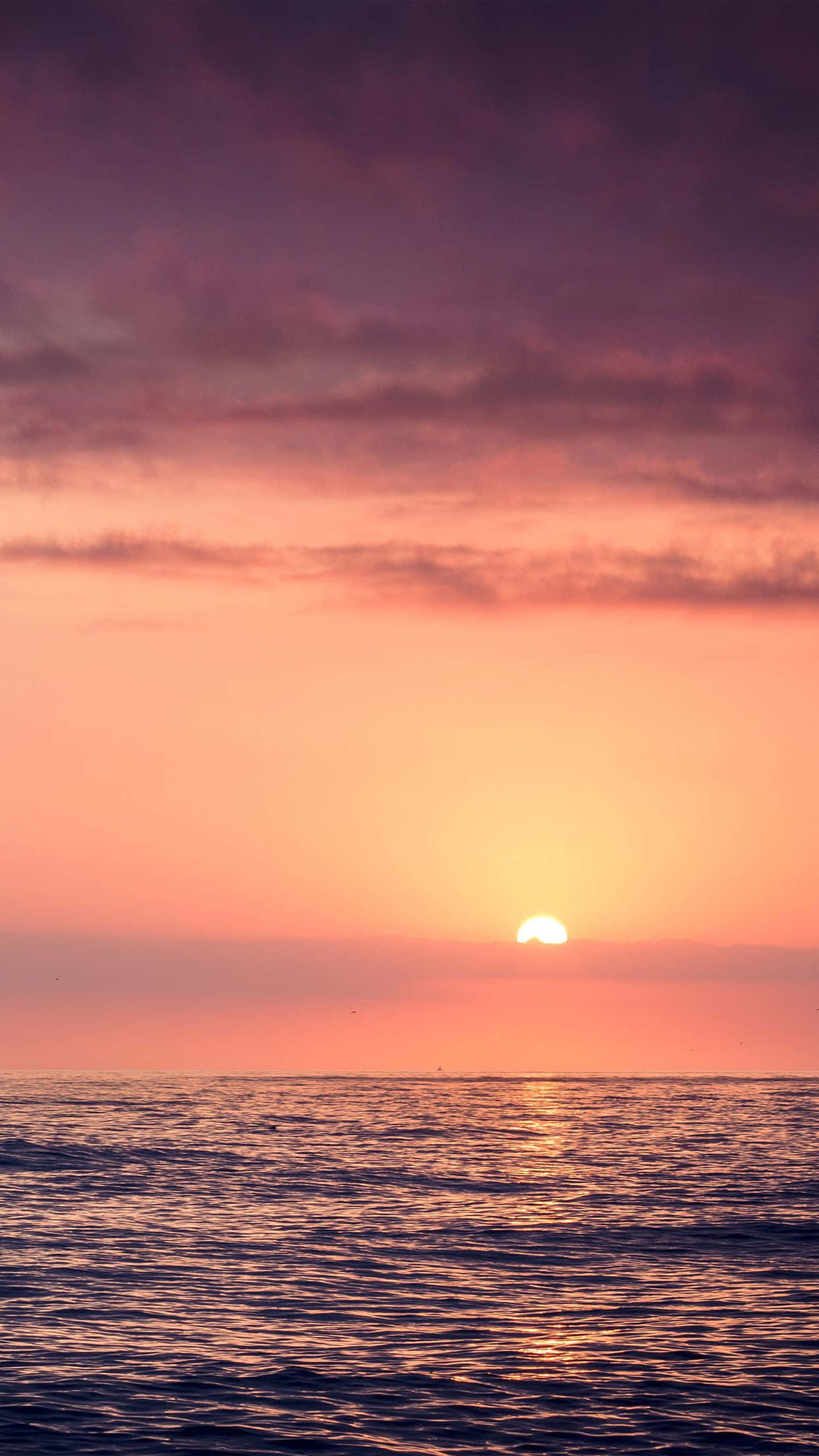感受海灘日落的寧靜與療癒 壁紙 — 平靜海洋上的寧靜日落，散發光芒的太陽與紫橙色天空。