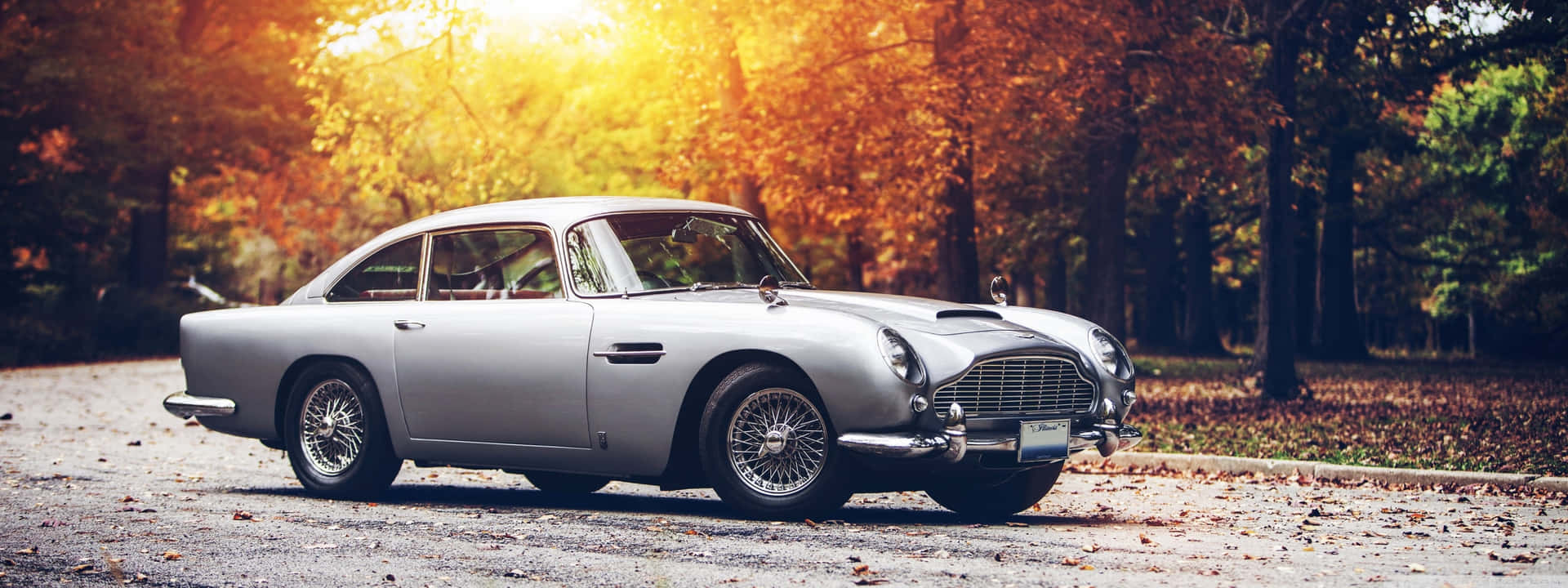 銀色經典 Aston Martin DB5 停在落葉滿地的森林道路上，沐浴在金色夕陽中。