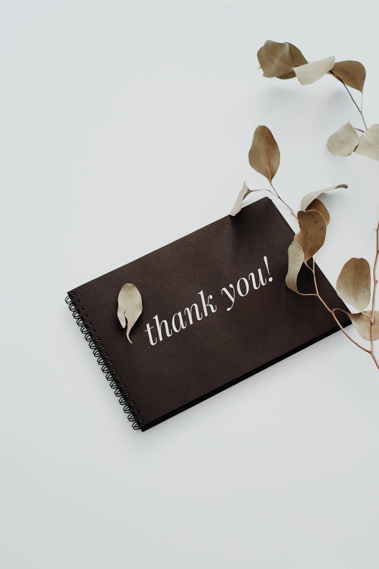 深啡色筆記本，帶有「thank you!」文字和乾燥尤加利葉，置於白色表面。