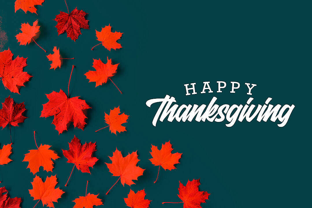 紅色楓葉和「Happy Thanksgiving」文字在藍綠色背景上