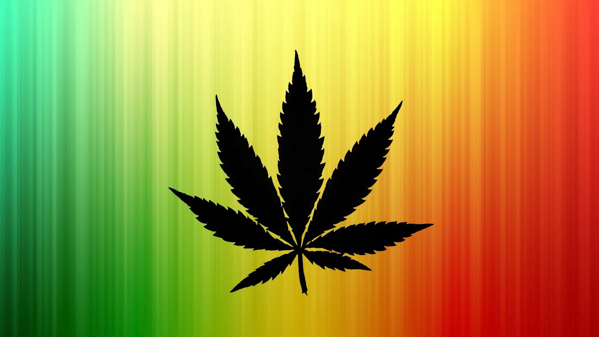 黑色大麻葉在彩虹漸變背景上