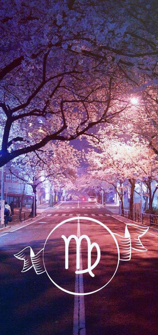 夜晚街道上有櫻花和摩羯座星座符號在路燈下發光。