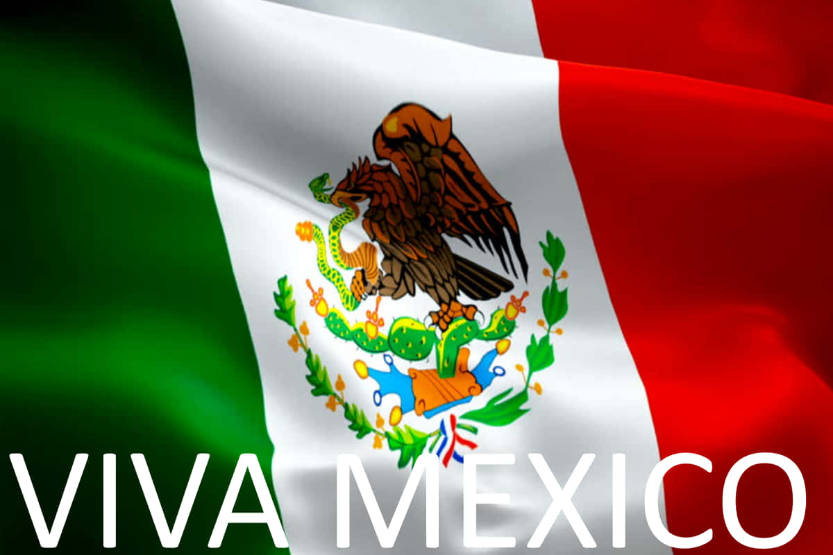 帶有老鷹和蛇徽章的墨西哥國旗飄揚，並有VIVA MEXICO文字。