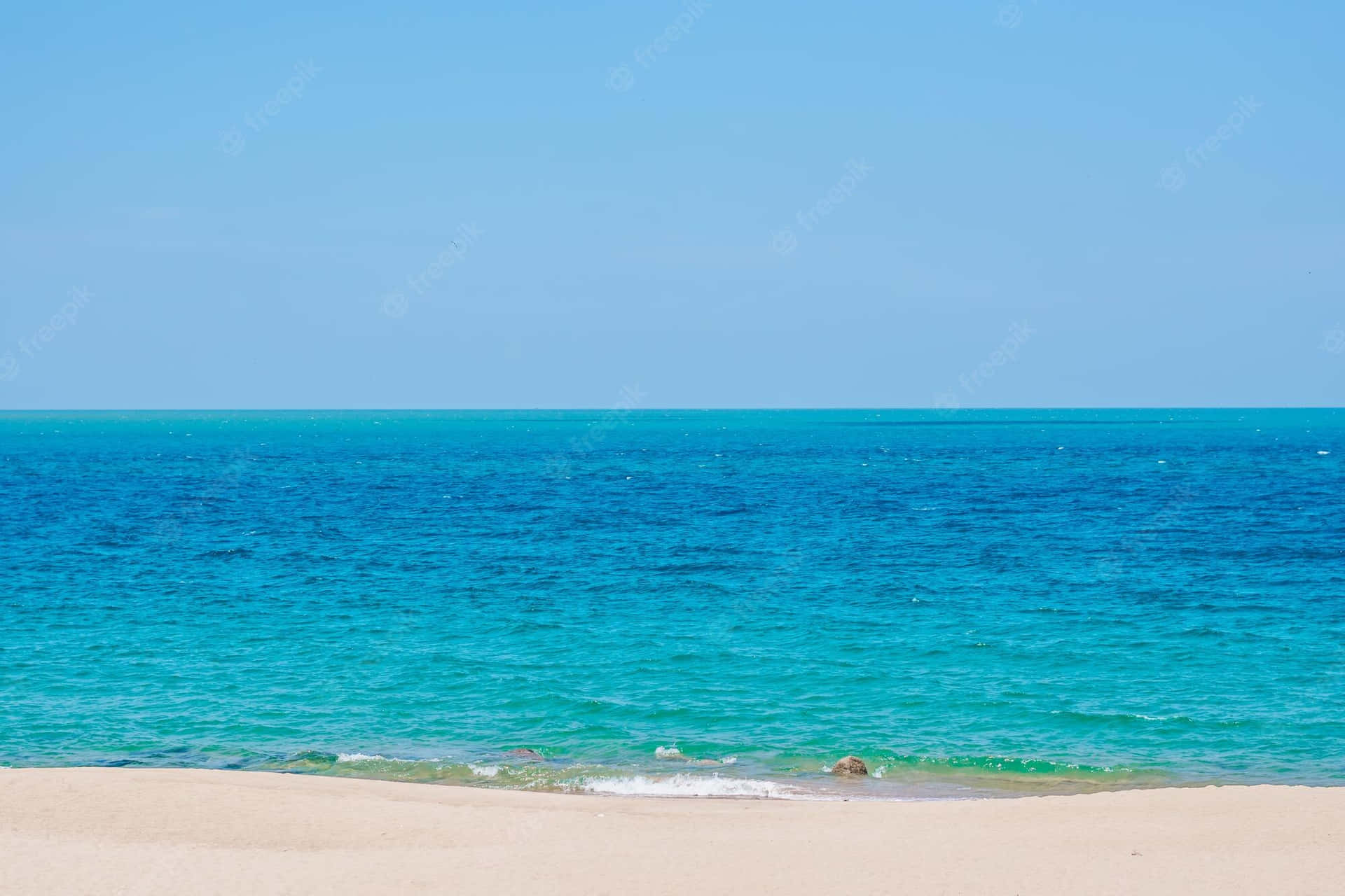 在清澈的藍天下，碧綠的海浪沖刷著金色的沙灘。