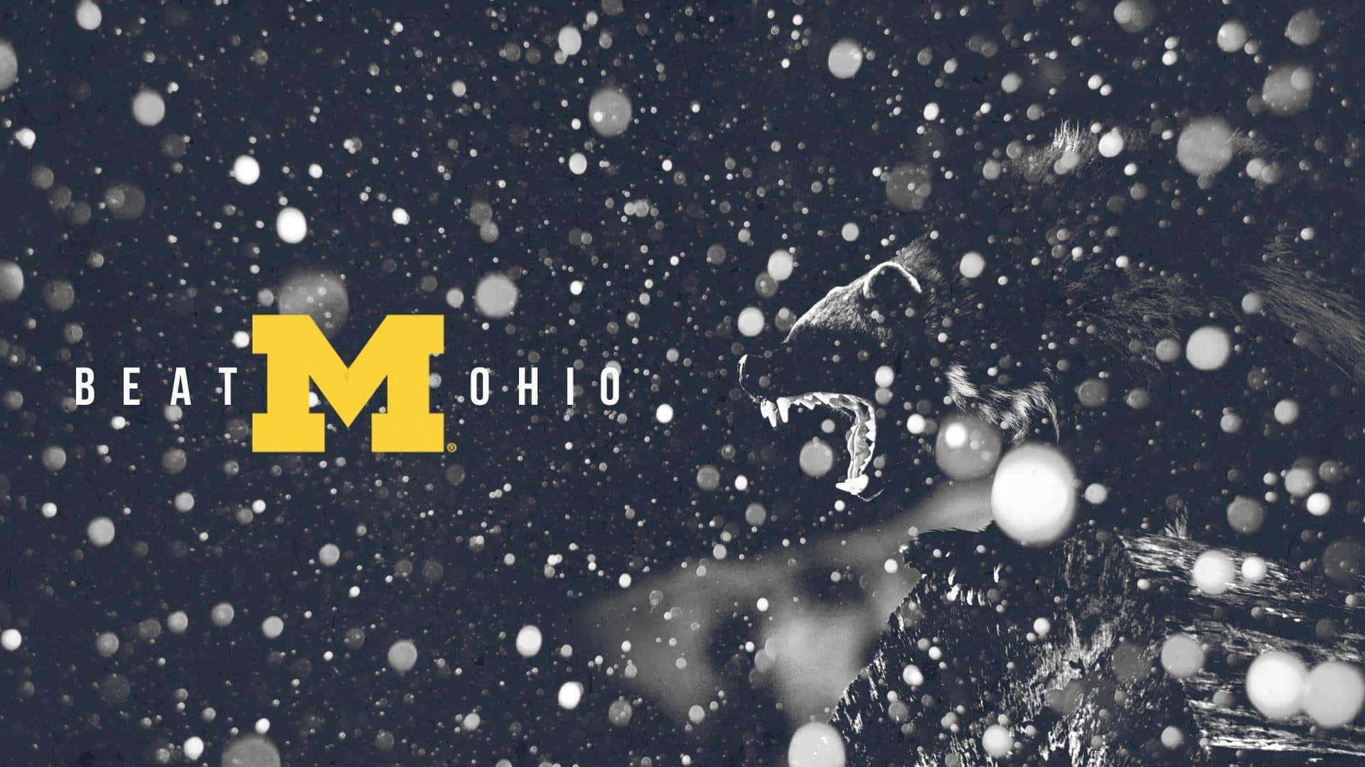 一頭獅子在飄落的雪花中咆哮，旁邊是黃色的「M」和「BEAT OHIO」文字。