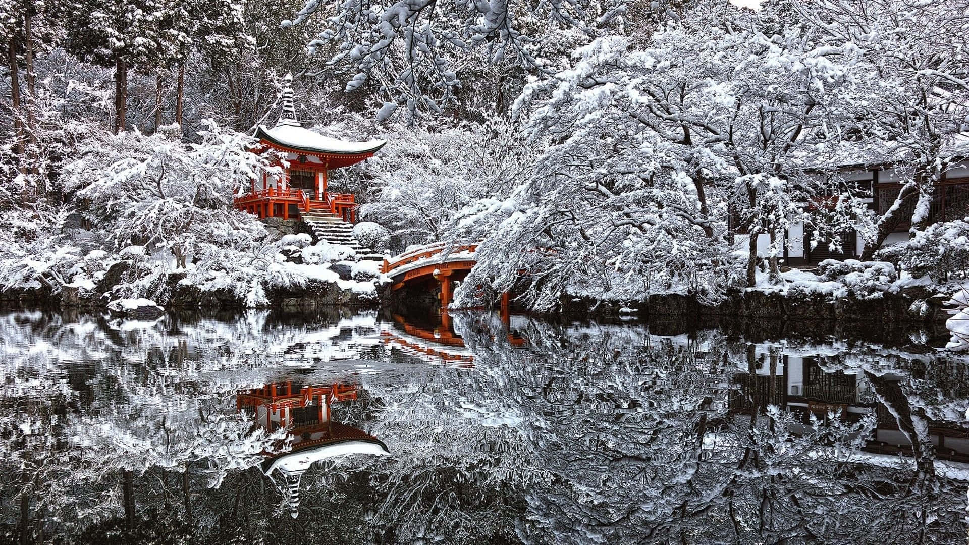 慶祝最美好的冬天 壁紙