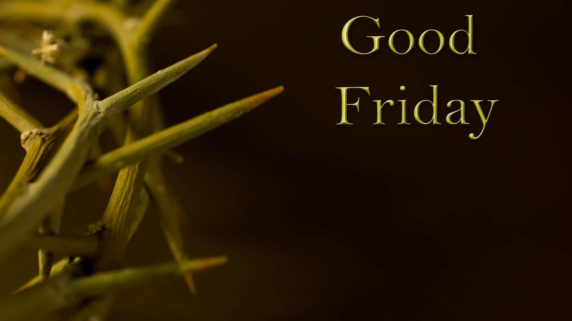 帶刺的樹枝，在黑暗背景上以金色字母顯示 Good Friday 文字