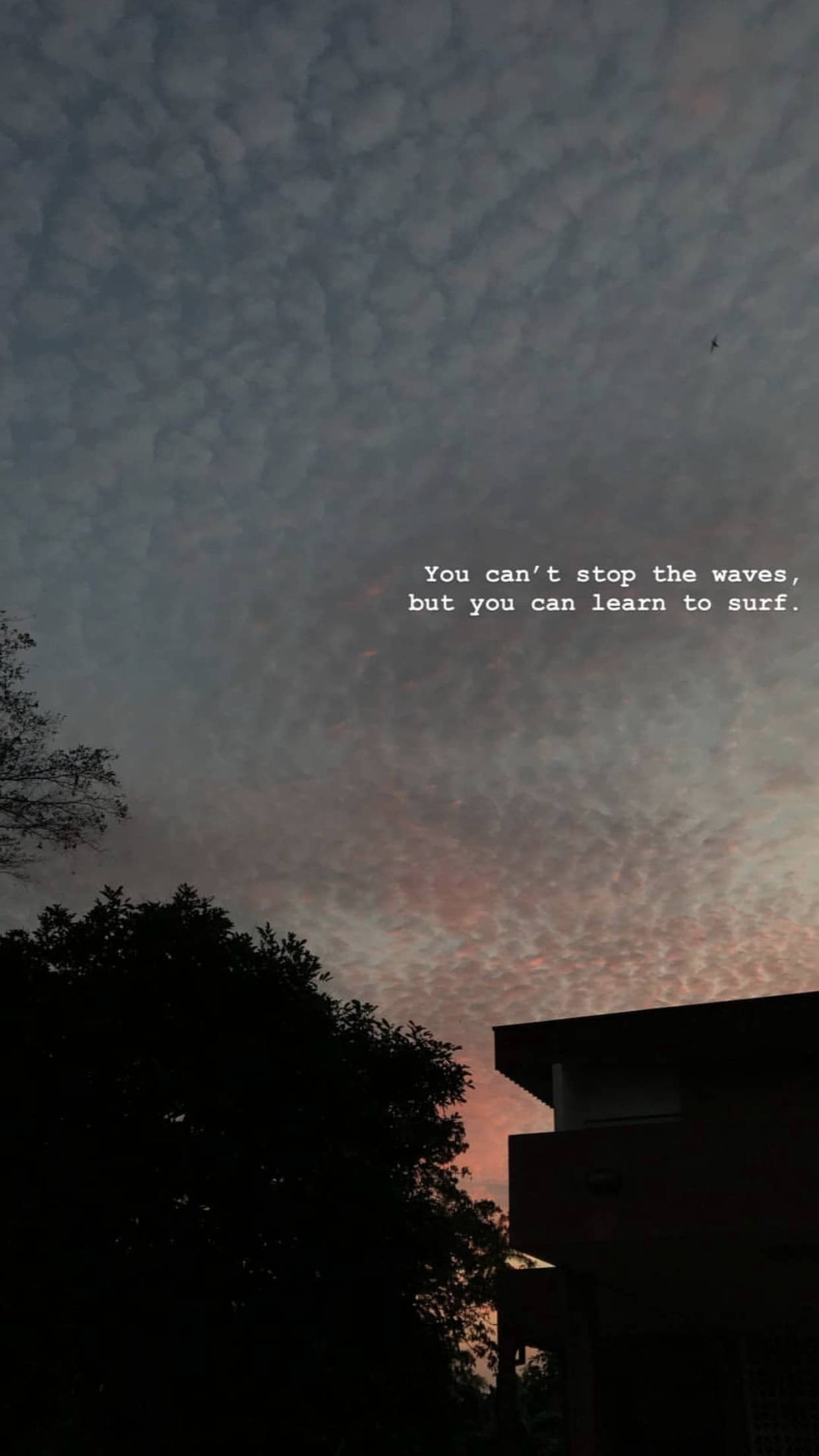 憂鬱天空 壁紙 — 剪影樹木和建築物框住黃昏天空，帶有紋理的雲朵閃耀粉紅和橙色。