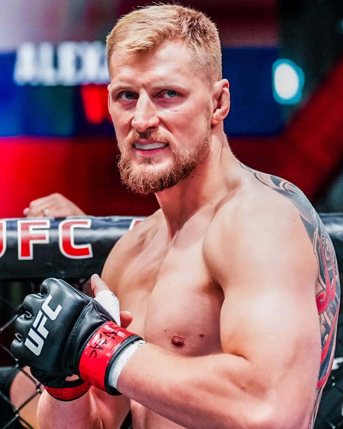 憤怒的亞歷山大·沃爾科夫 壁紙 — 一位肌肉發達的UFC拳手，留鬍鬚，手臂有紋身，戴著黑紅色手套靠在八角籠圍欄上。
