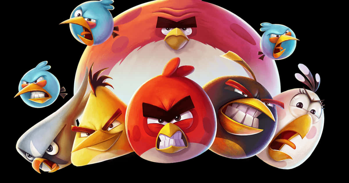 憤怒的小鳥角色拼貼畫 壁紙 — 一群色彩繽紛的Angry Birds角色，在黑色背景上帶有憤怒的表情。