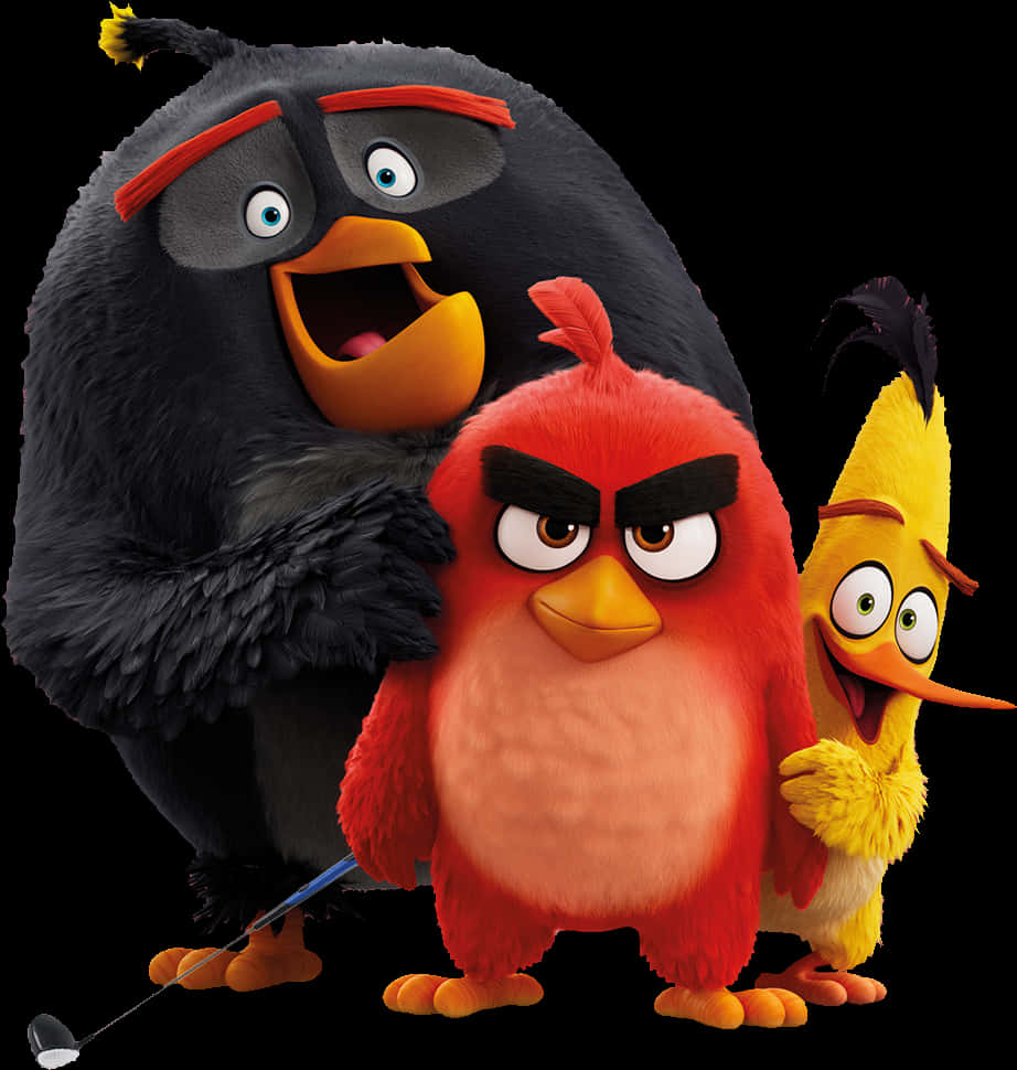 《憤怒鳥》角色群像 壁紙 — 三個Angry Birds角色以3D渲染風格，在黑色背景前一起擺姿勢，手持高爾夫球桿。