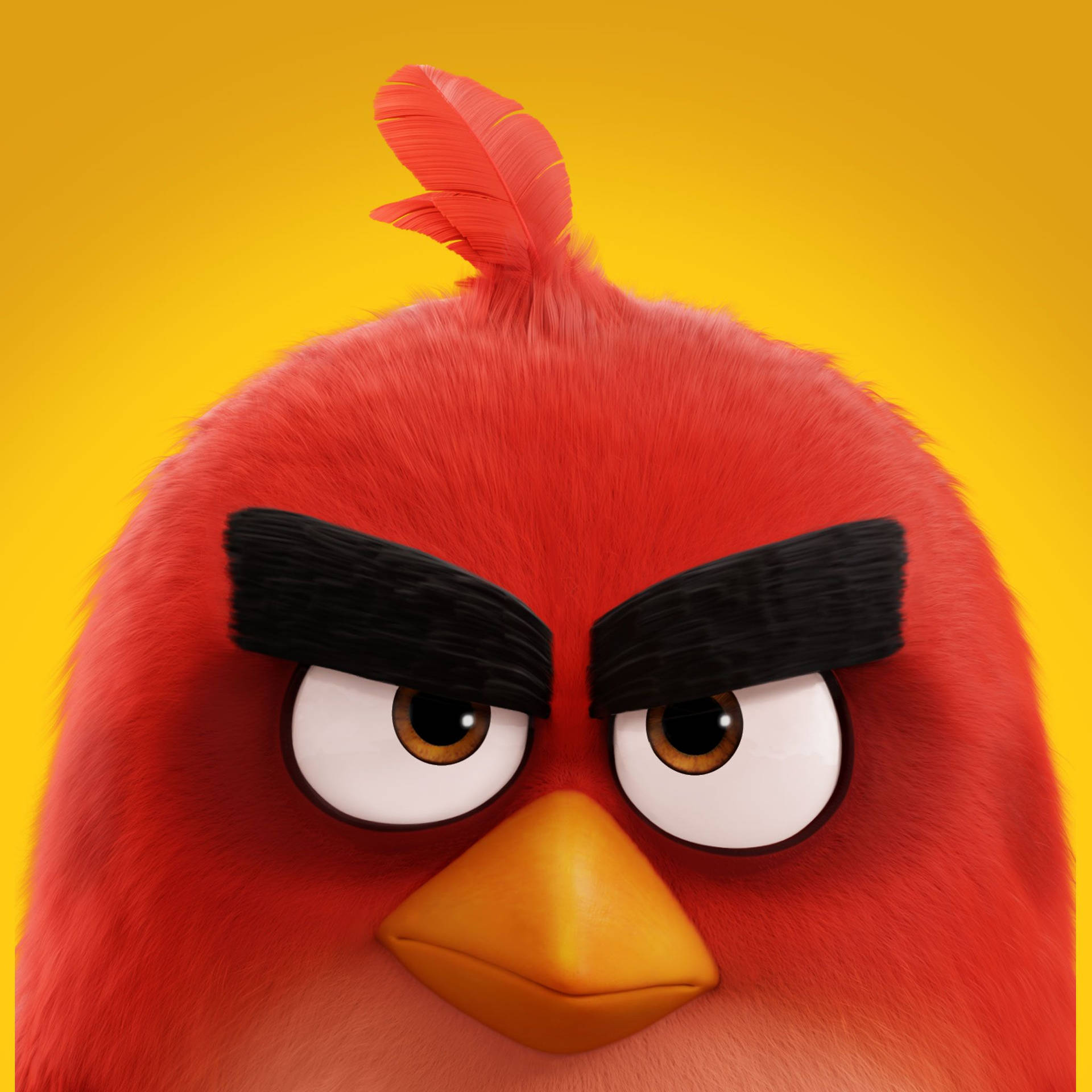 《憤怒鳥2》紅鳥威脅眼神 壁紙 — 紅色 Angry Birds 角色的特寫，有著皺起的黑色眉毛和銳利的眼睛，背景是明亮的黃色。