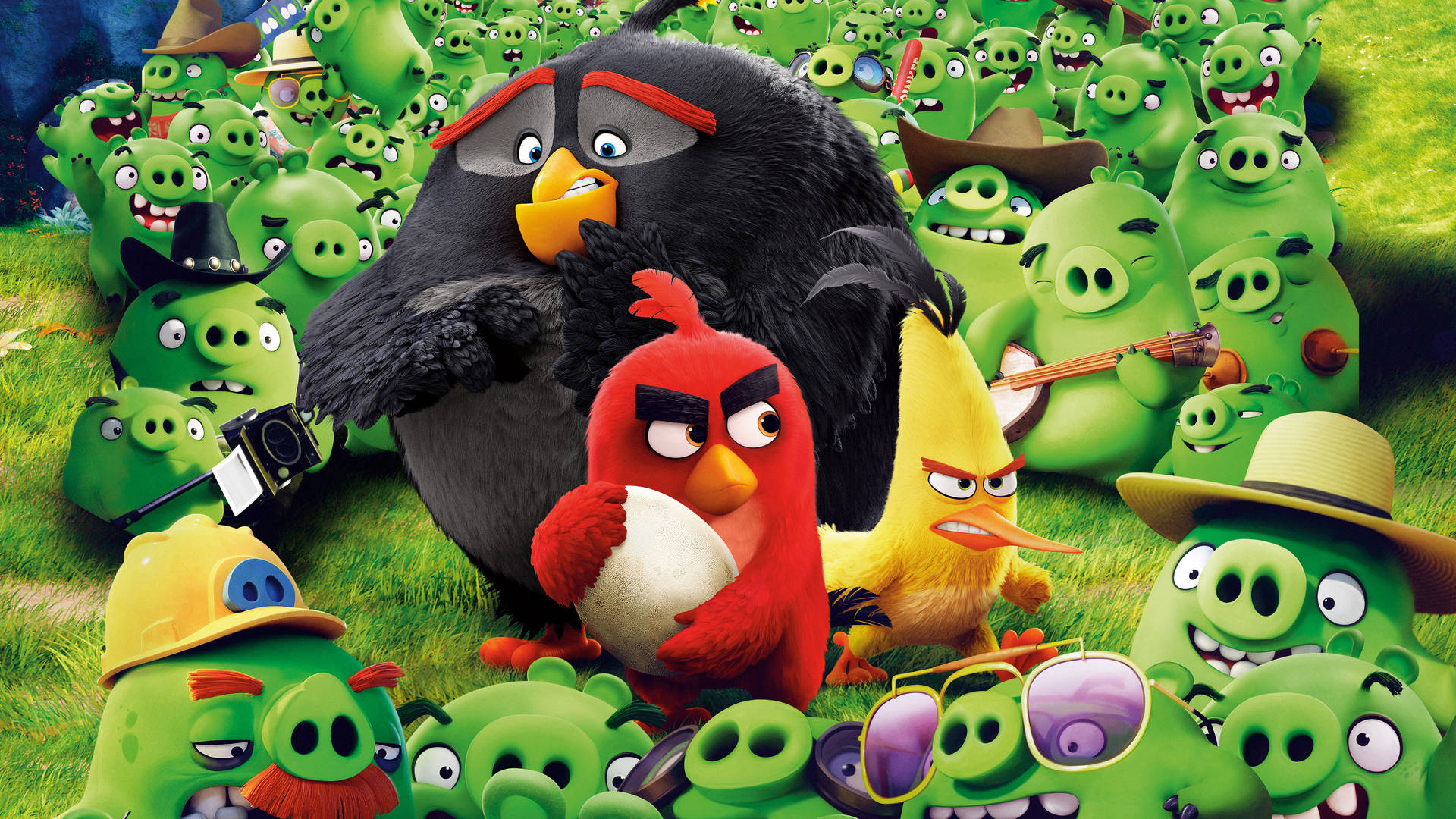 Angry Birds角色被綠色豬包圍在草地上。