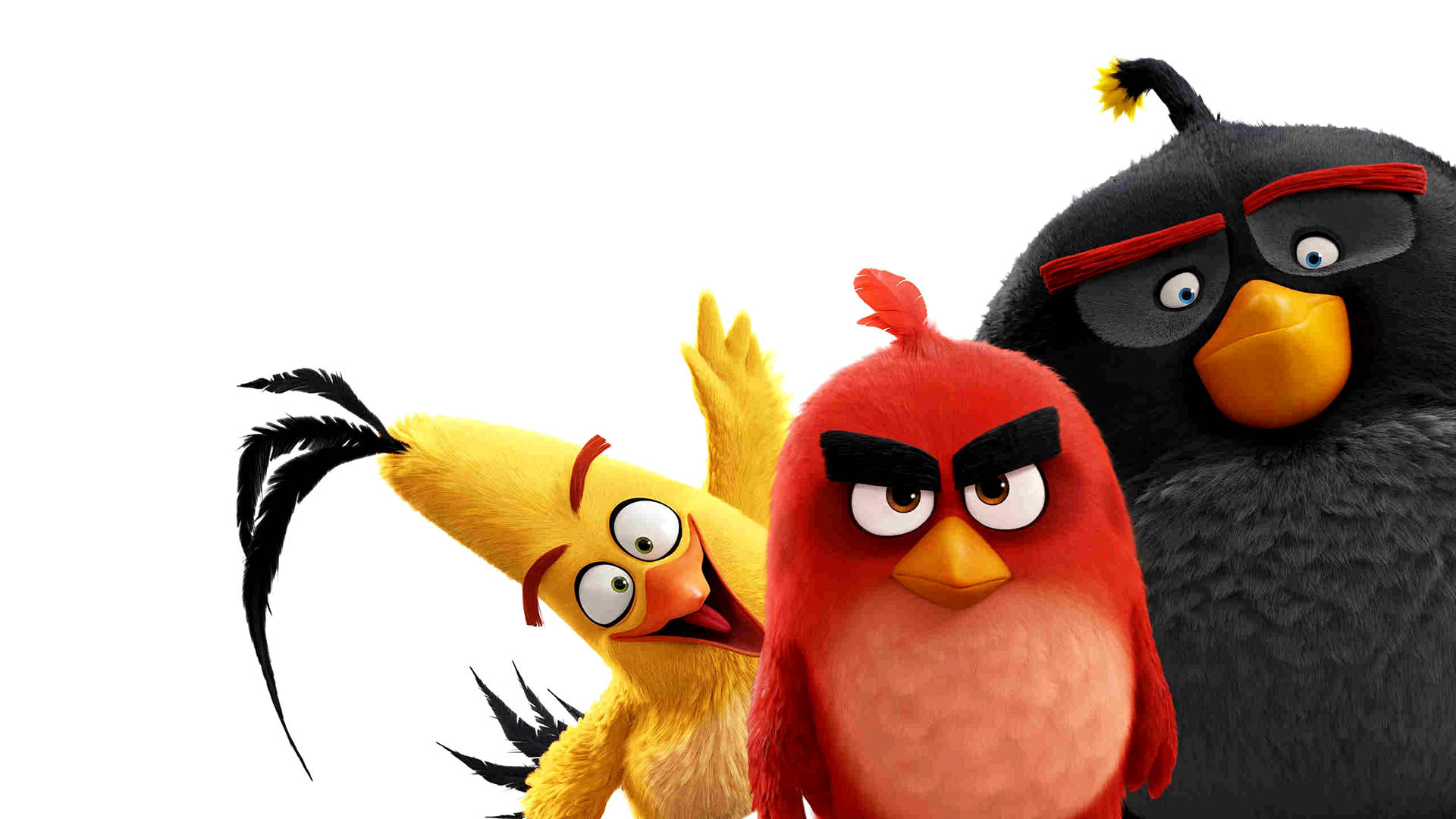 三個Angry Birds角色紅色黃色和黑色，帶有憤怒表情。