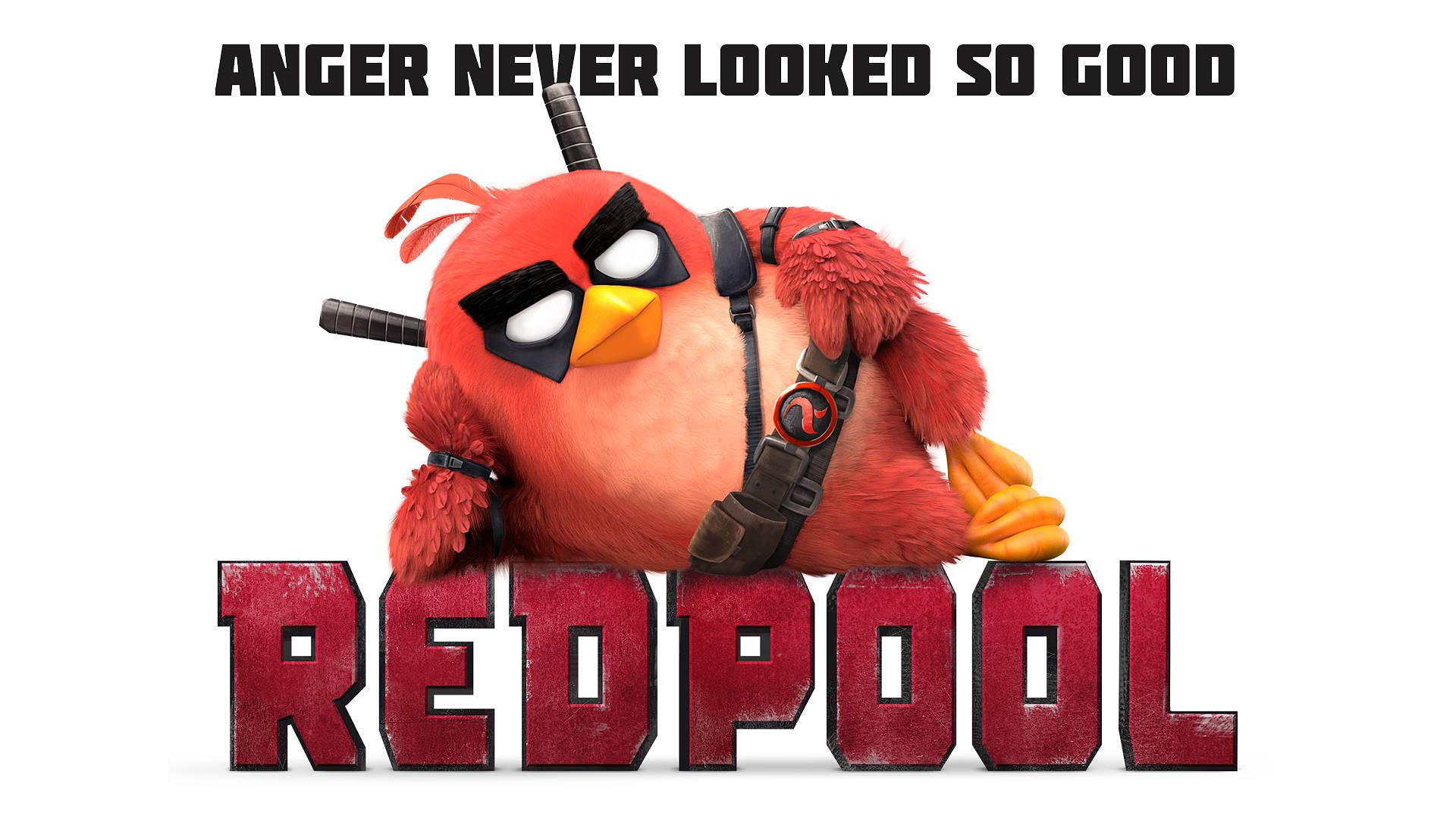 紅色Angry Bird著住Deadpool服裝，帶有'REDPOOL'文字同標語。