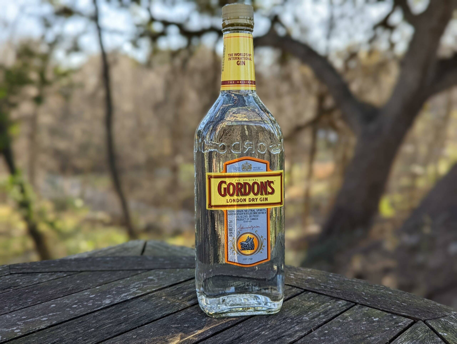 在樹林地區的木桌上放著一瓶 Gordon's 氈酒。
